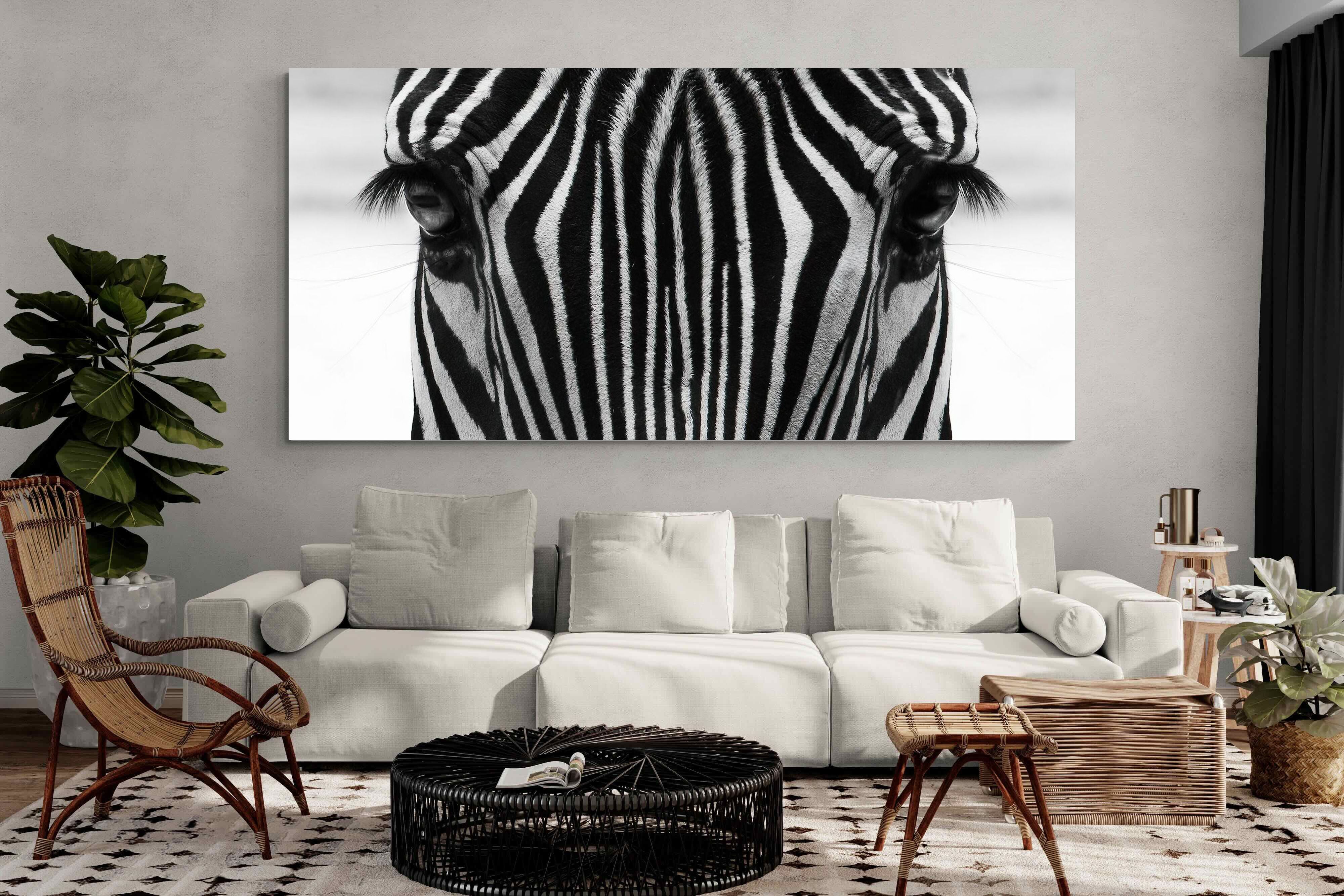 Pixalot Zebra Gaze
