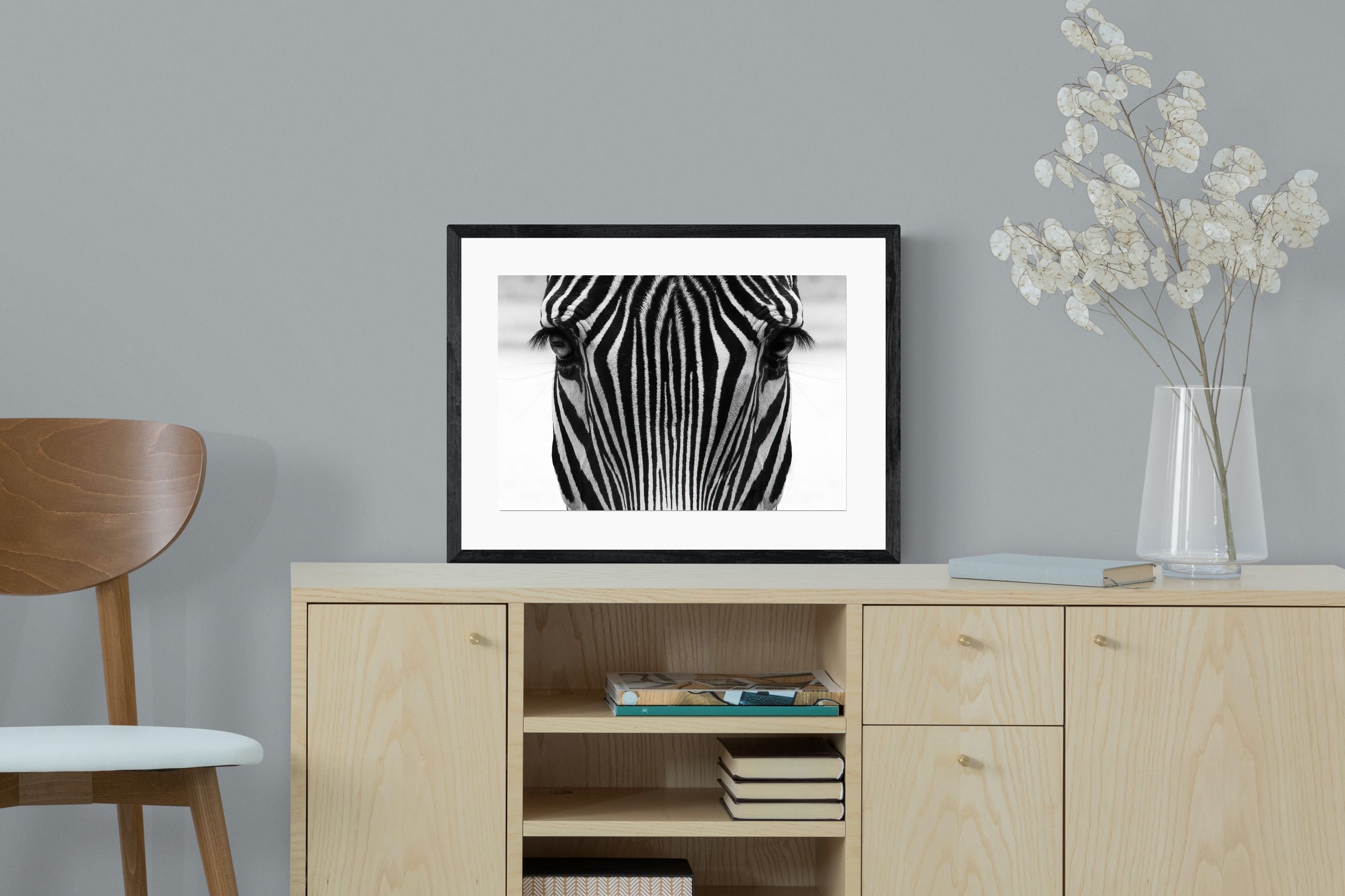 Pixalot Zebra Gaze