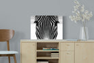 Pixalot Zebra Gaze