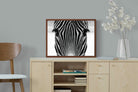 Pixalot Zebra Gaze