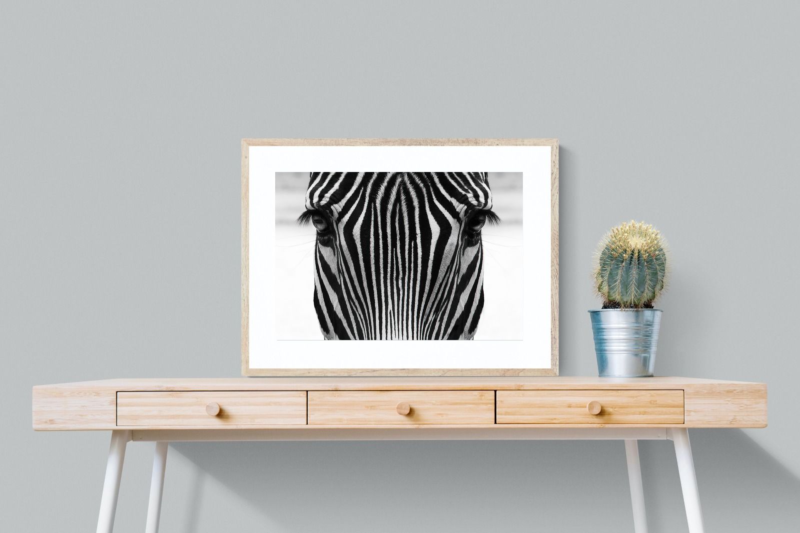 Pixalot Zebra Gaze