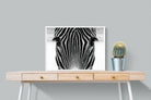 Pixalot Zebra Gaze
