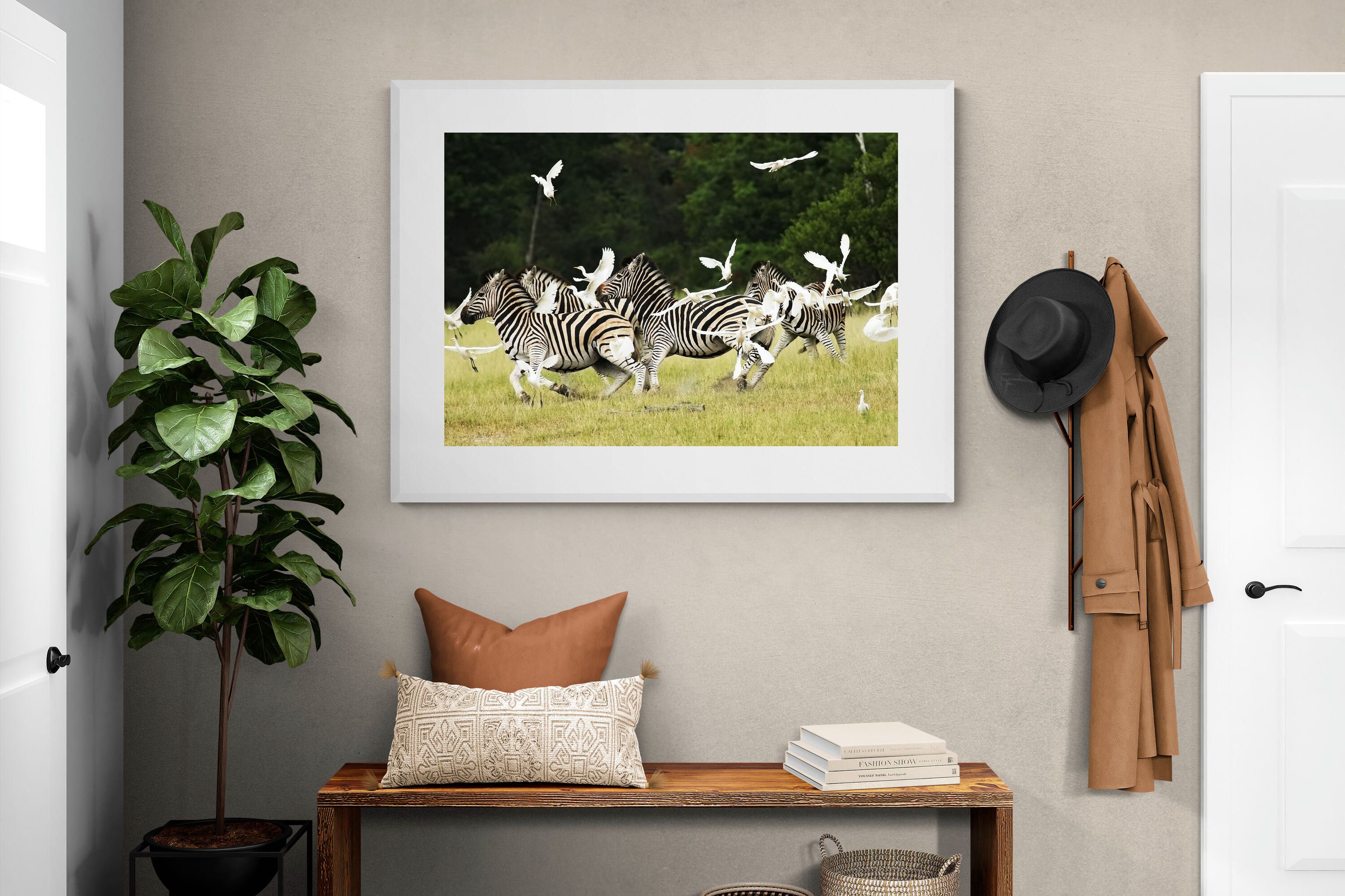 Pixalot Zebra & Herons (colour)