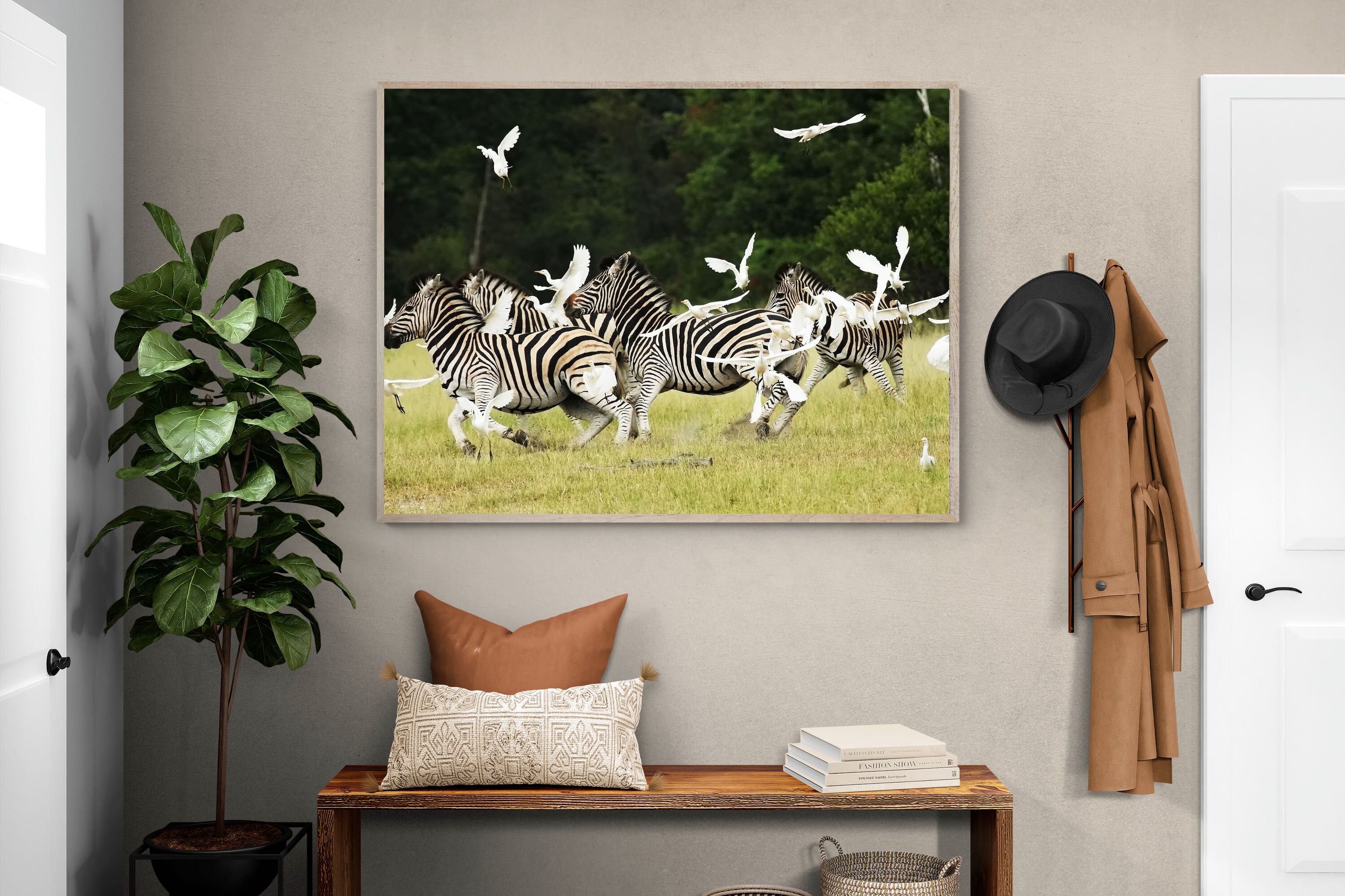 Pixalot Zebra & Herons (colour)