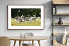 Pixalot Zebra & Herons (colour)