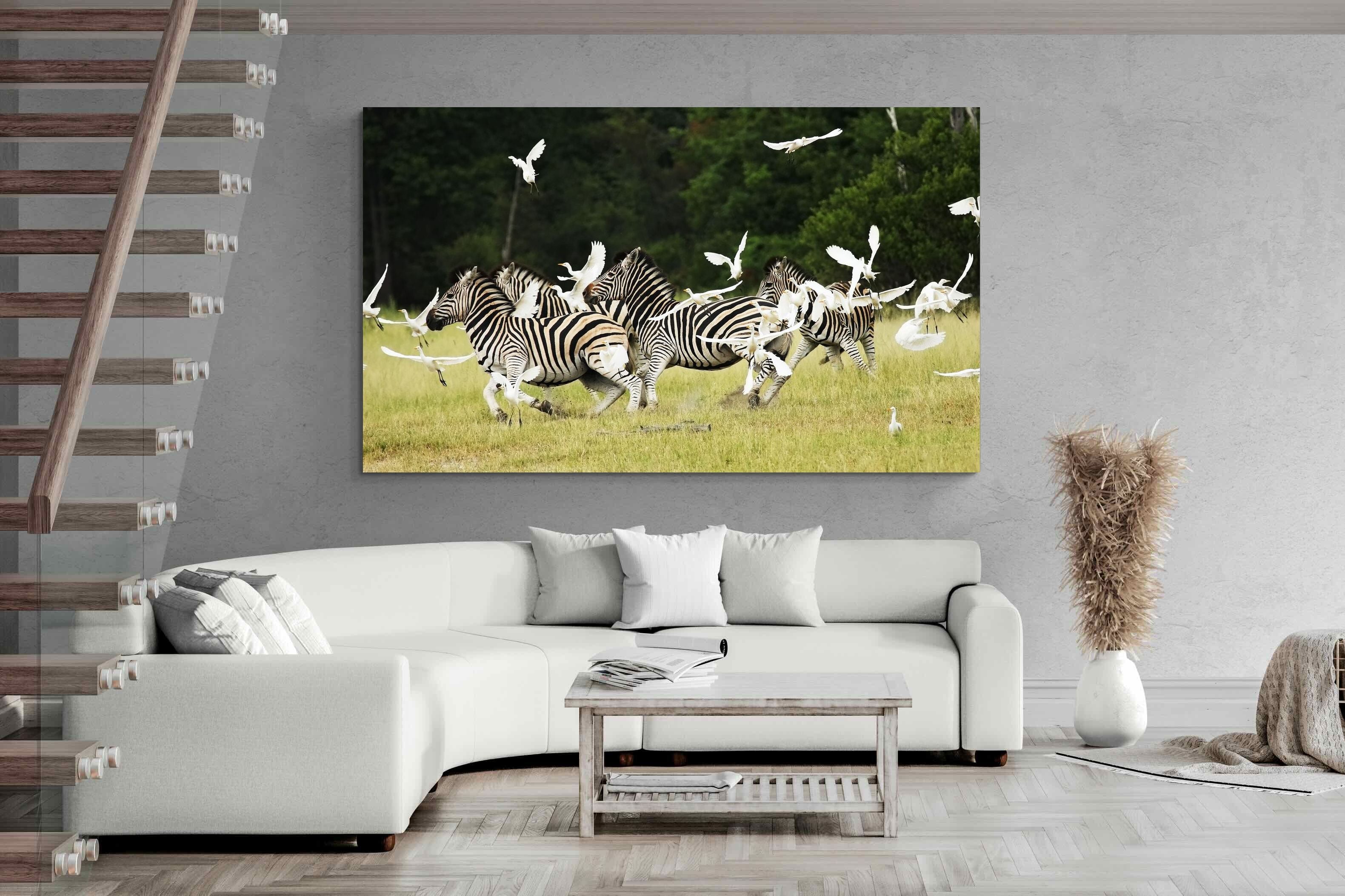 Pixalot Zebra & Herons (colour)