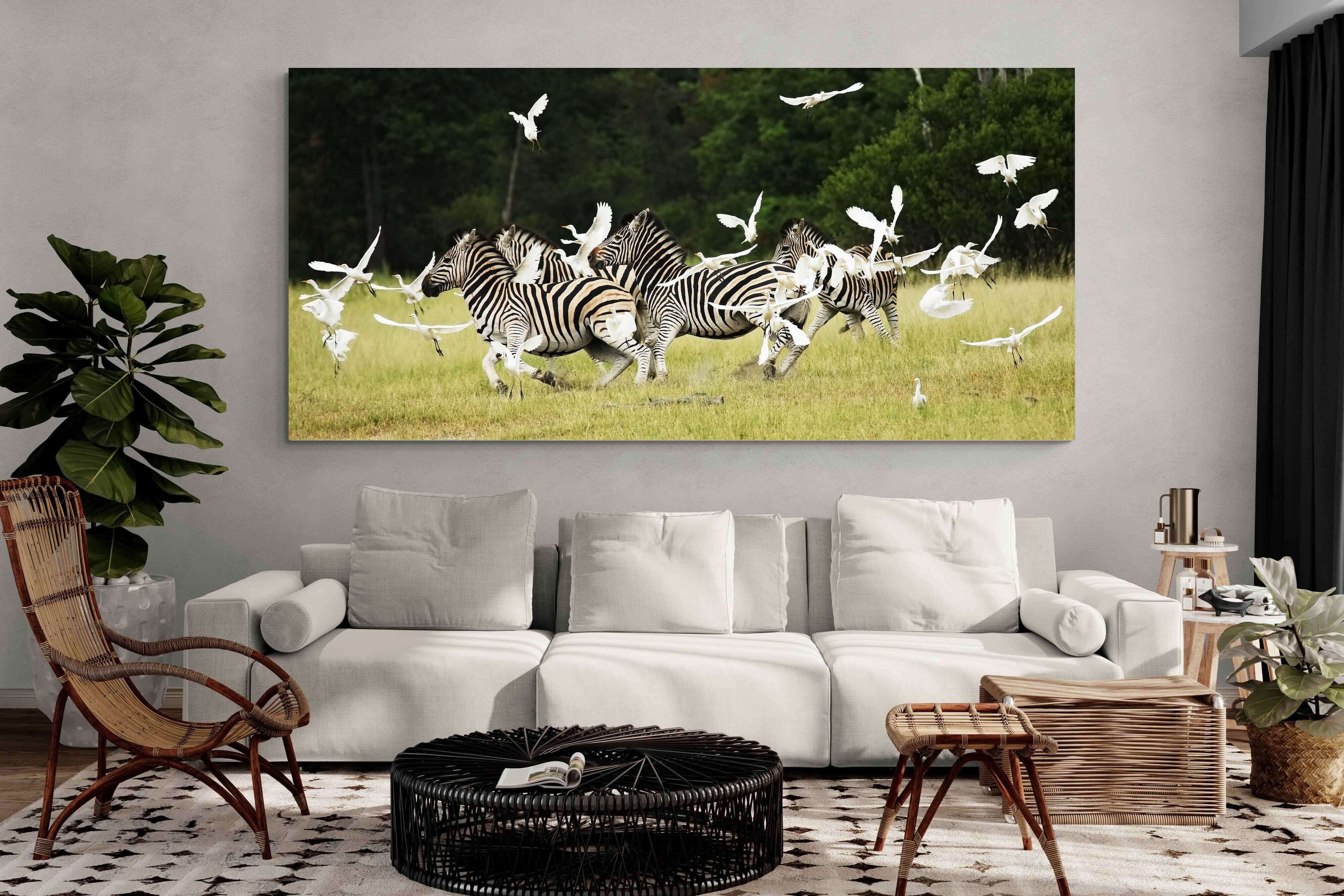 Pixalot Zebra & Herons (colour)