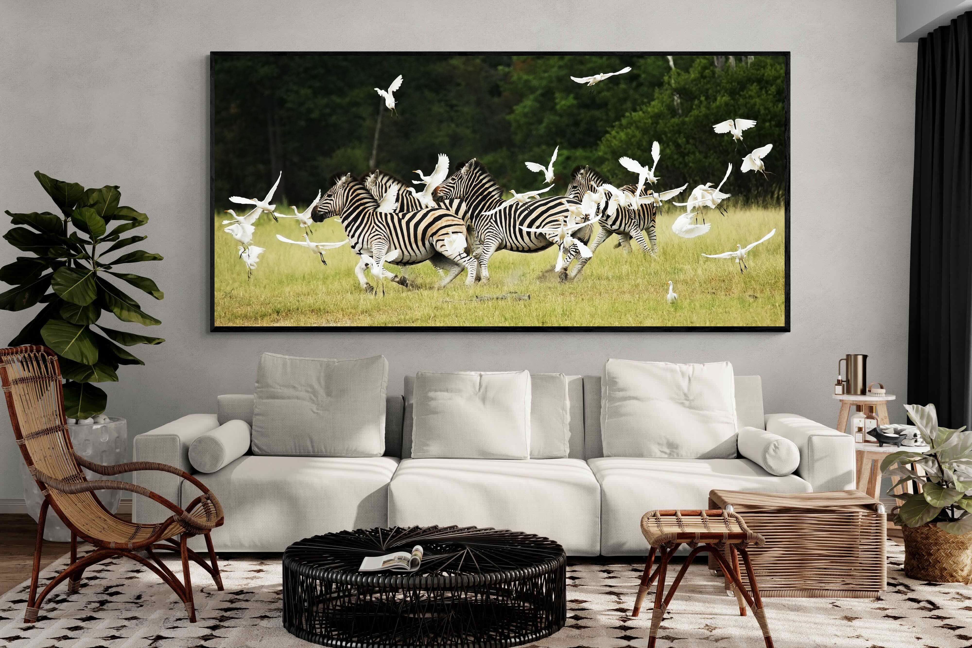 Pixalot Zebra & Herons (colour)