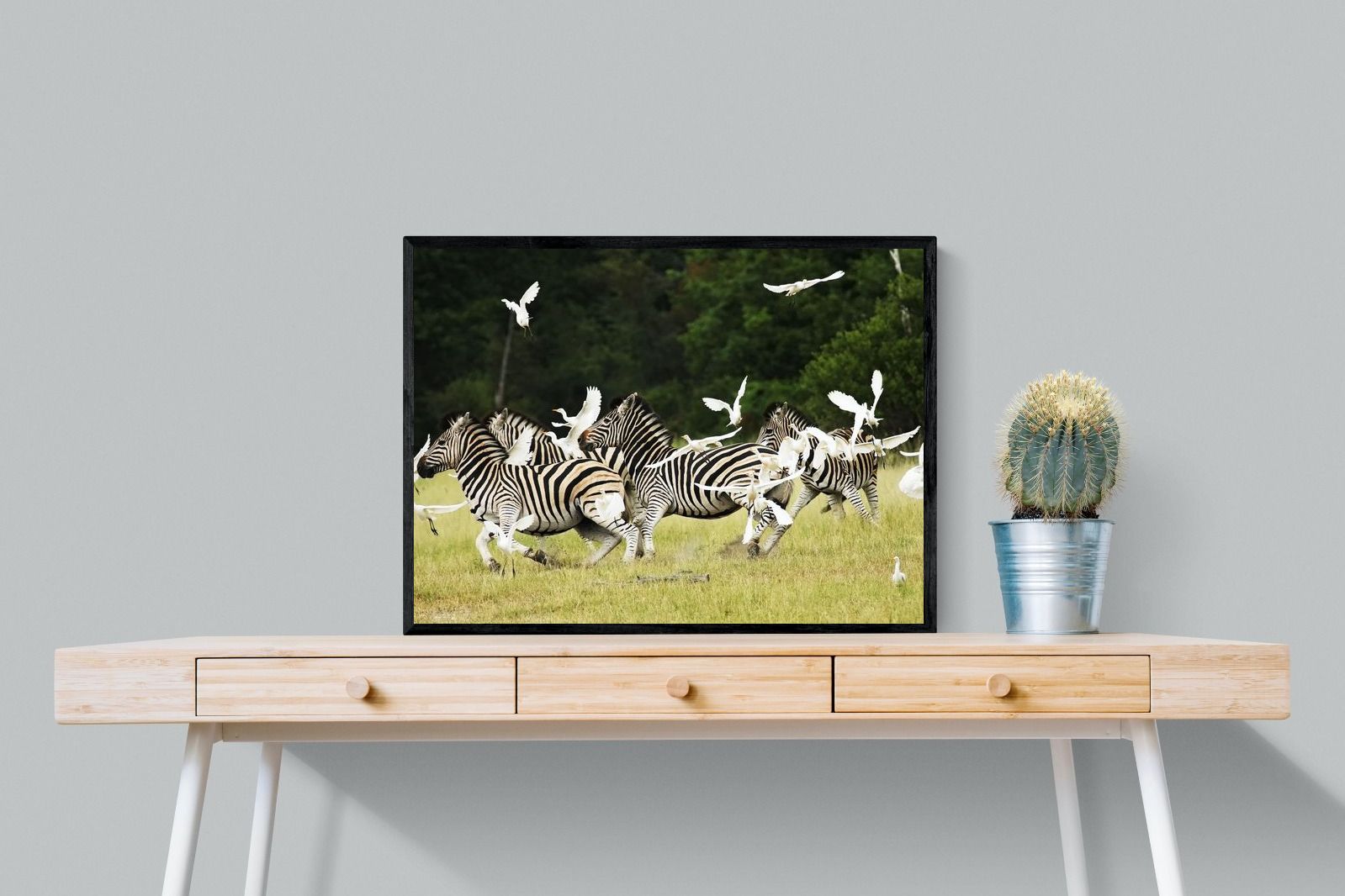 Pixalot Zebra & Herons (colour)