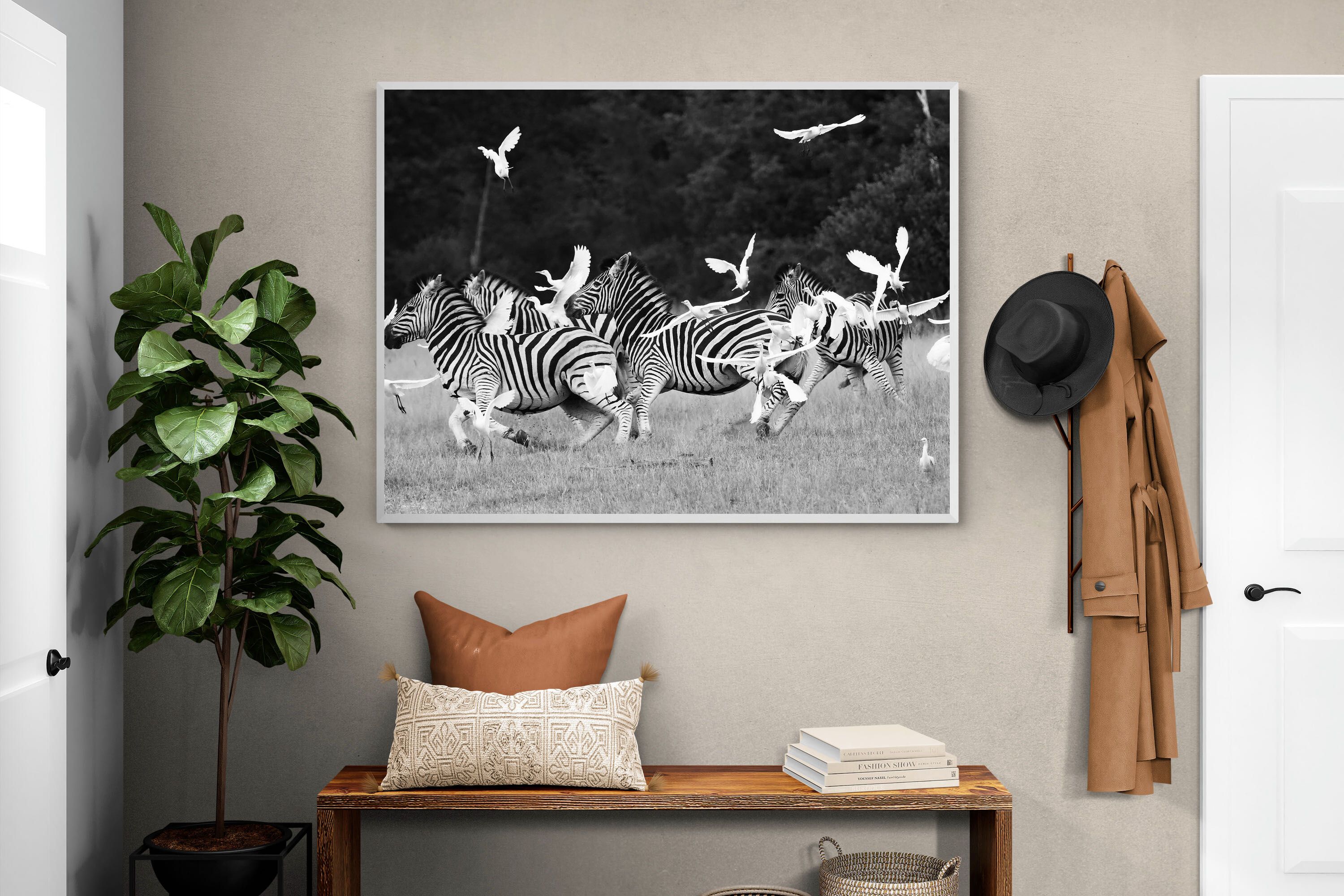 Pixalot Zebra & Herons