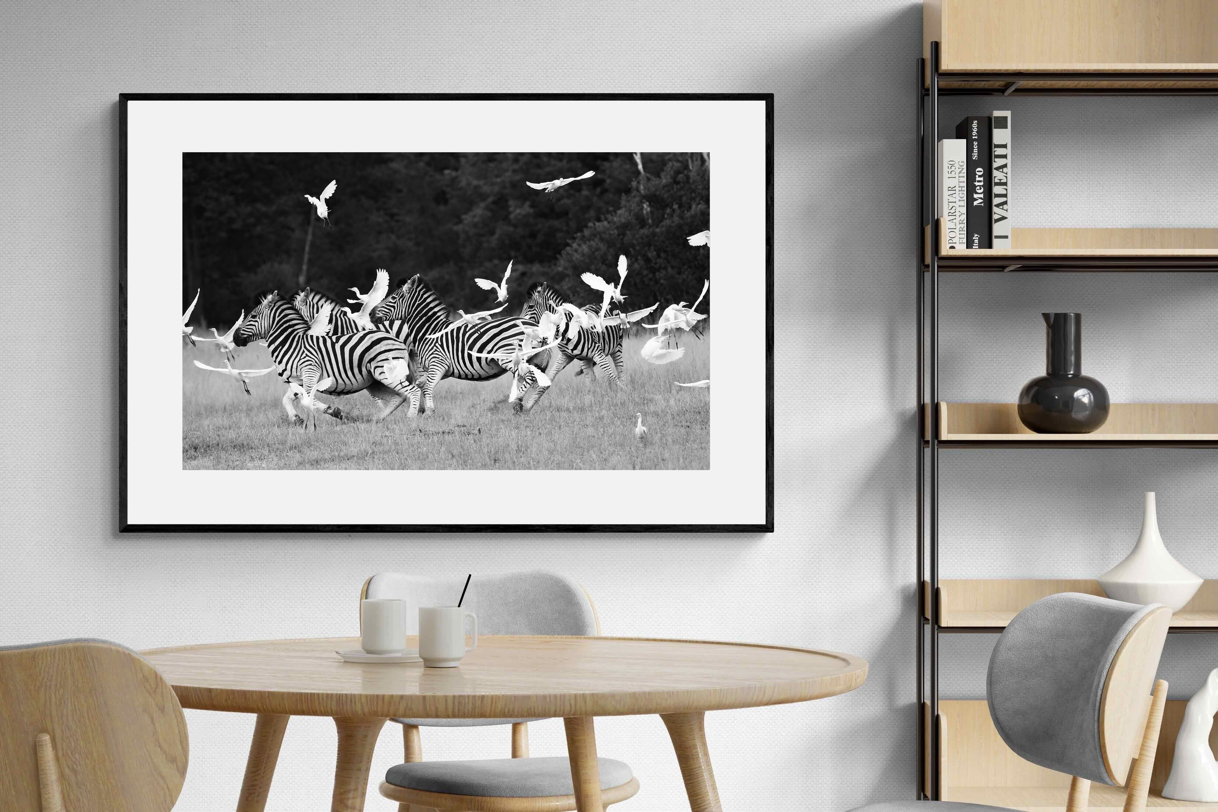 Pixalot Zebra & Herons