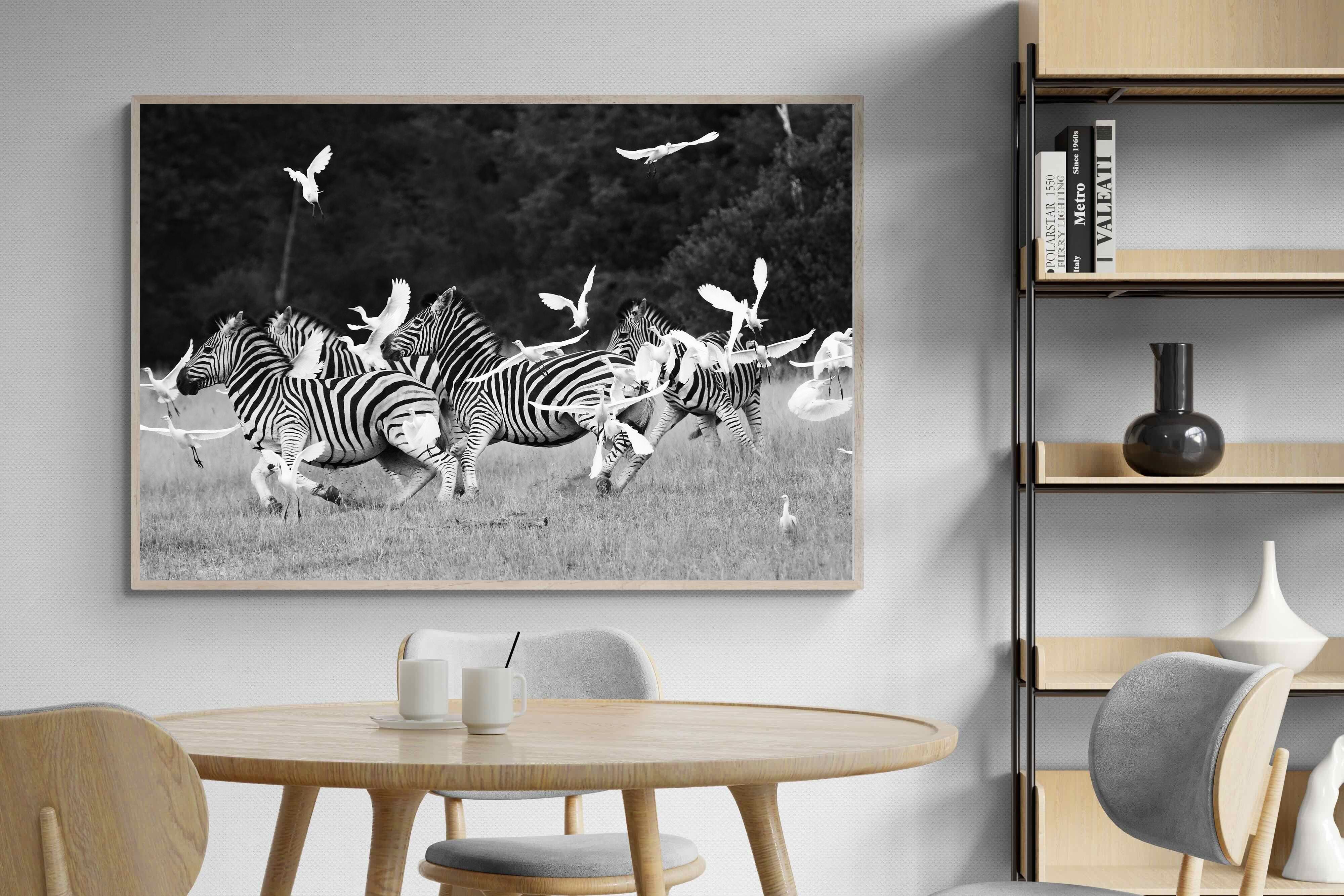 Pixalot Zebra & Herons