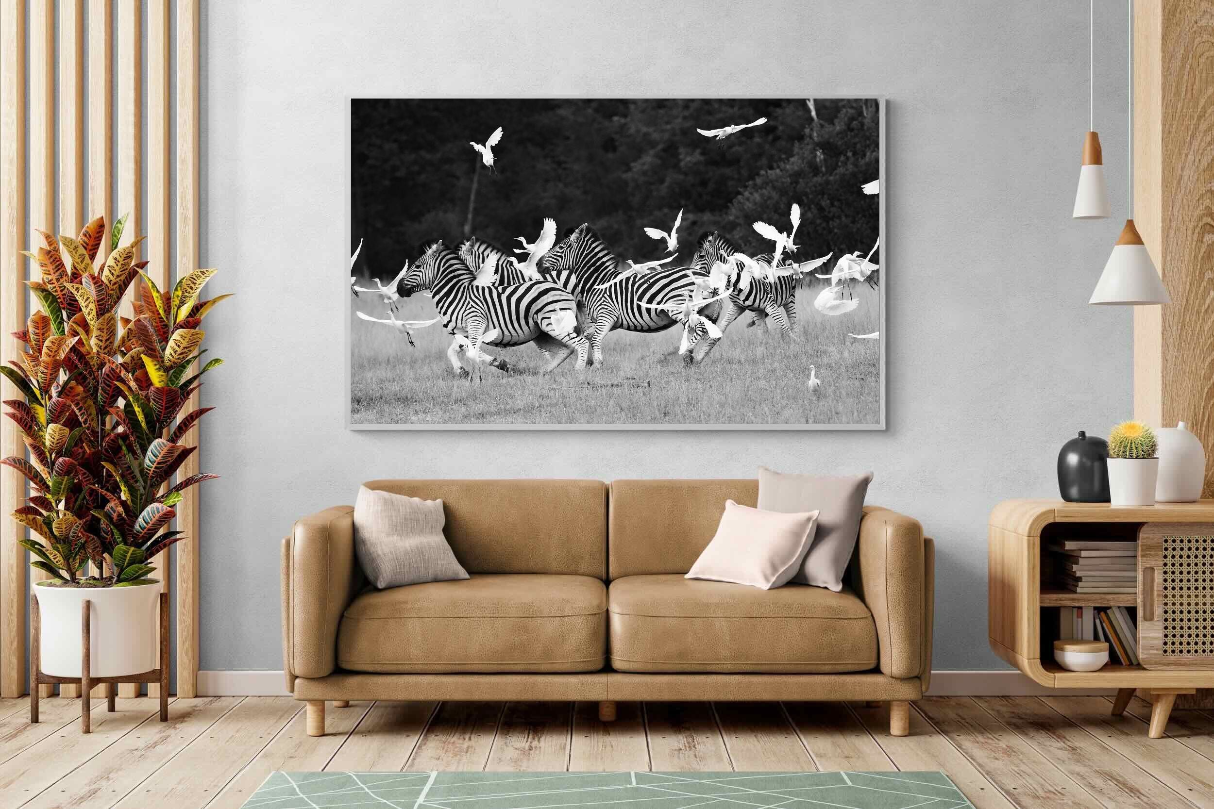 Pixalot Zebra & Herons