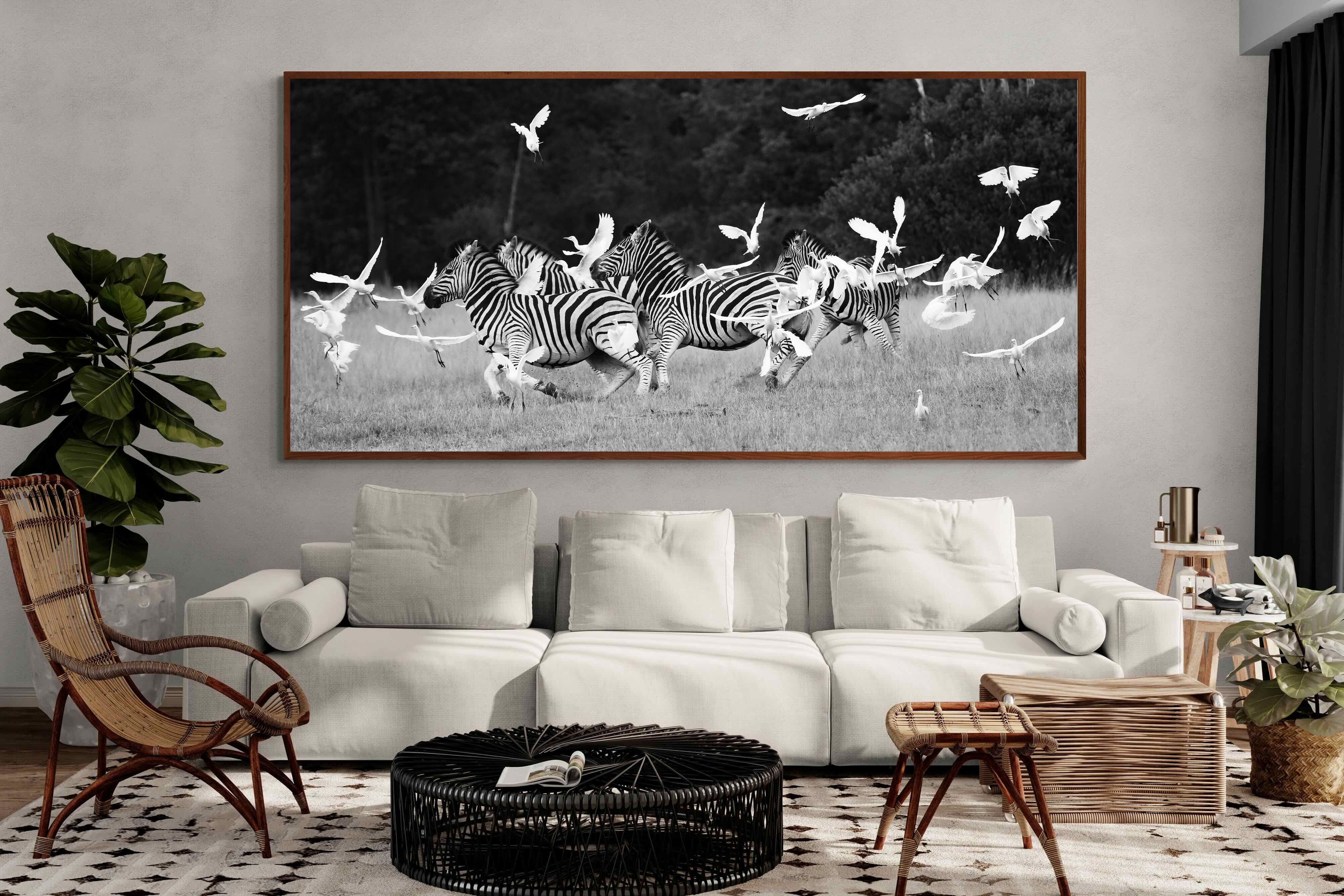 Pixalot Zebra & Herons
