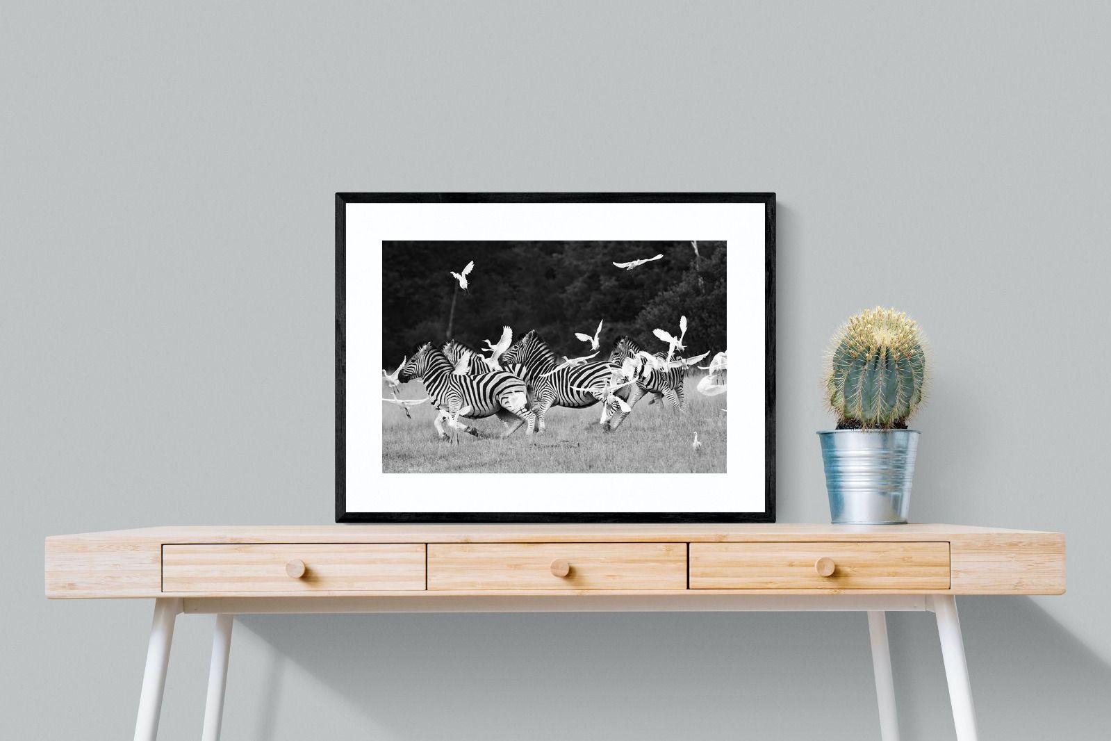 Pixalot Zebra & Herons