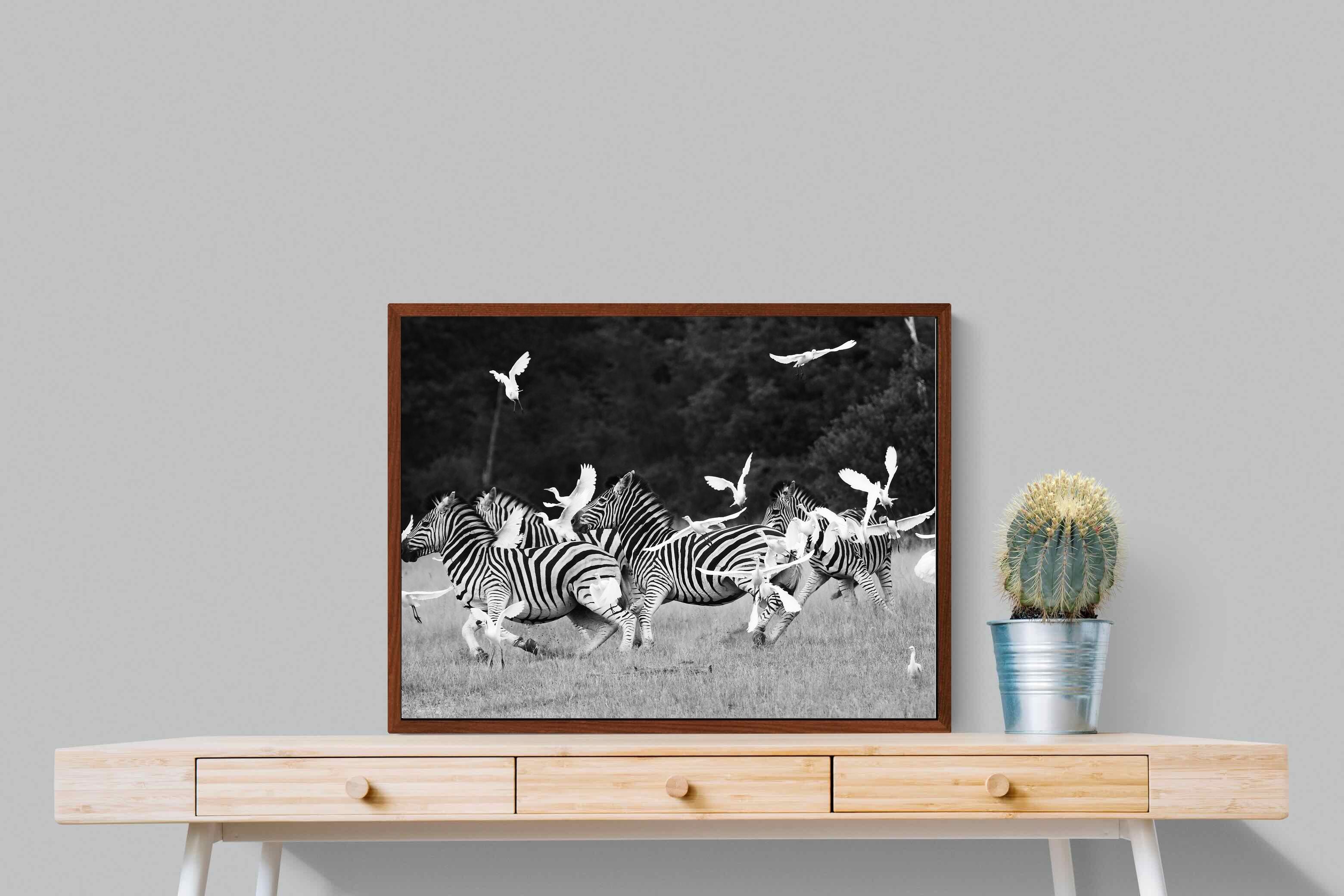 Pixalot Zebra & Herons