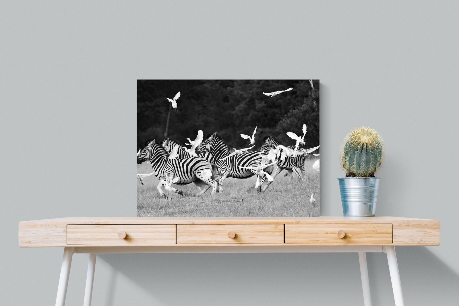 Pixalot Zebra & Herons