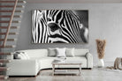Pixalot ® Zebra