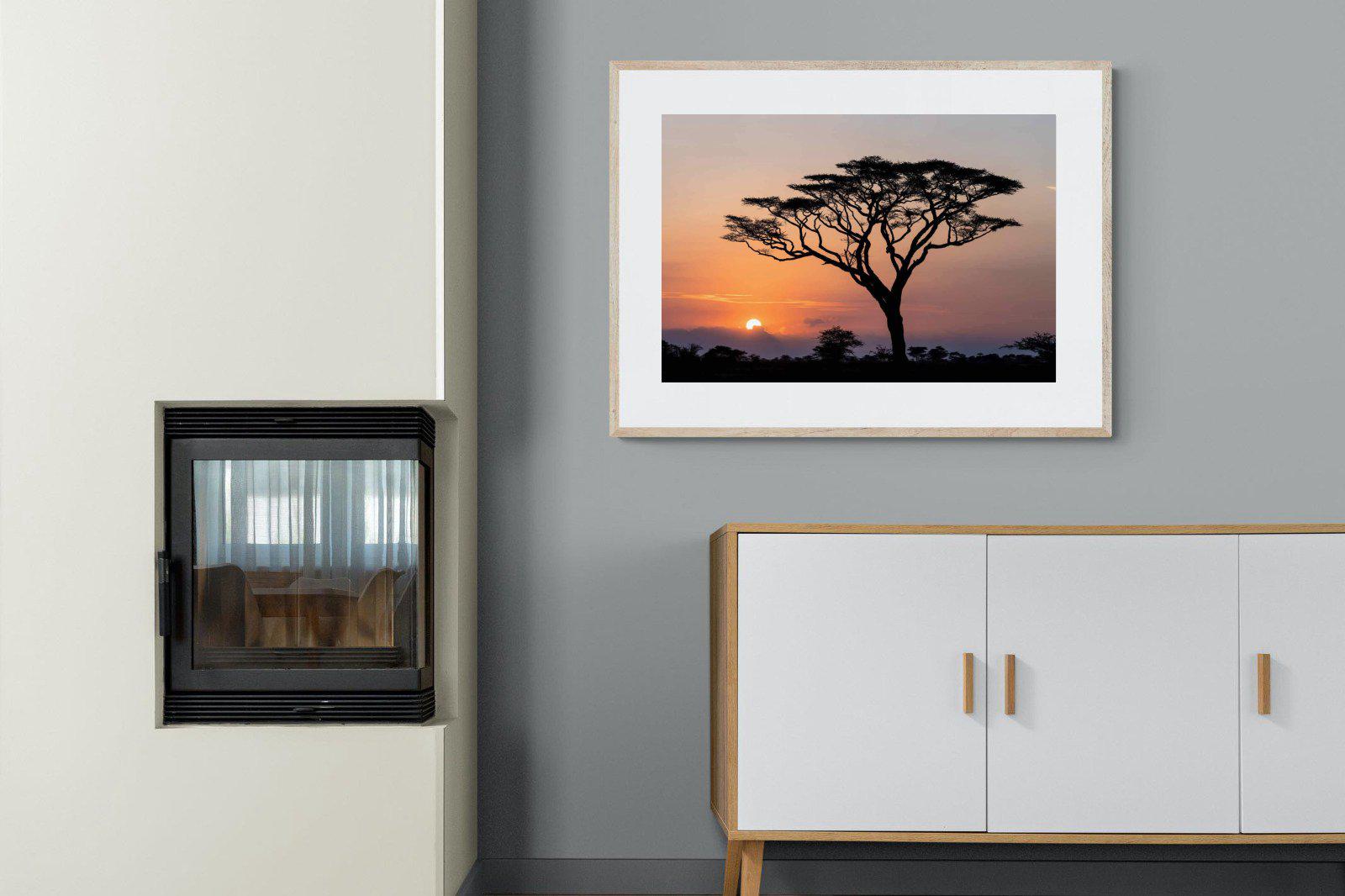 Acacia Sunset-Wall_Art-100 x 75cm-Framed Print-Wood-Pixalot