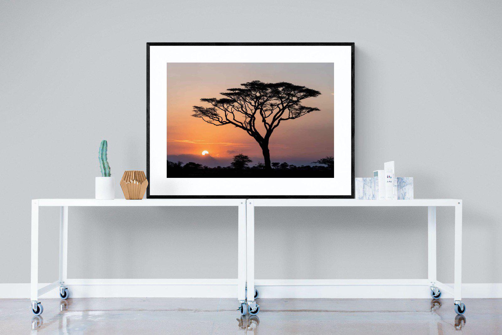 Acacia Sunset-Wall_Art-120 x 90cm-Framed Print-Black-Pixalot