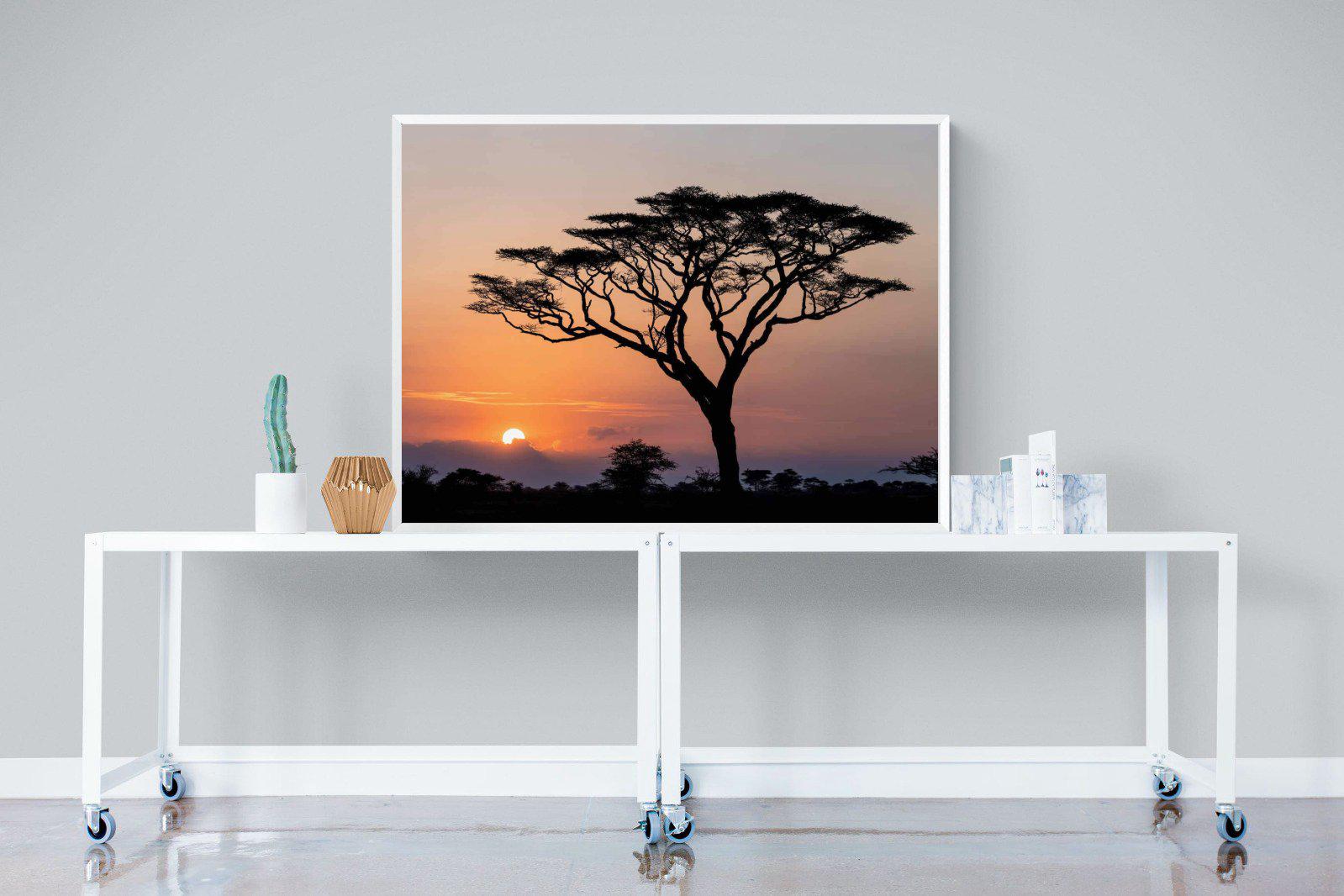 Acacia Sunset-Wall_Art-120 x 90cm-Mounted Canvas-White-Pixalot