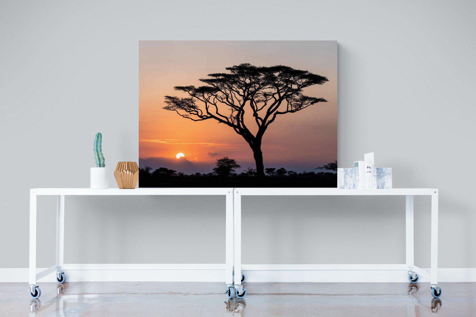 Acacia Sunset-Wall_Art-120 x 90cm-Mounted Canvas-No Frame-Pixalot