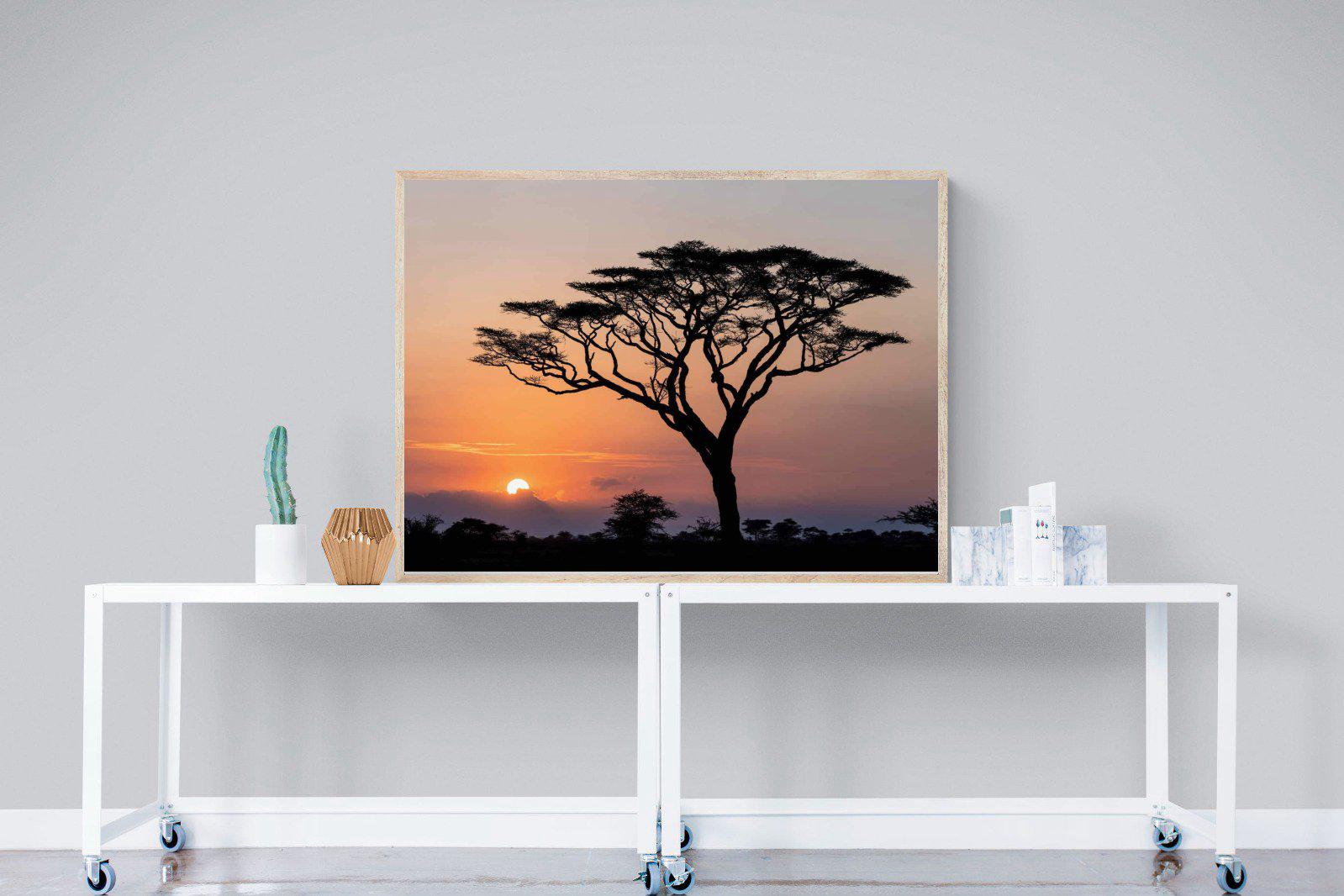 Acacia Sunset-Wall_Art-120 x 90cm-Mounted Canvas-Wood-Pixalot