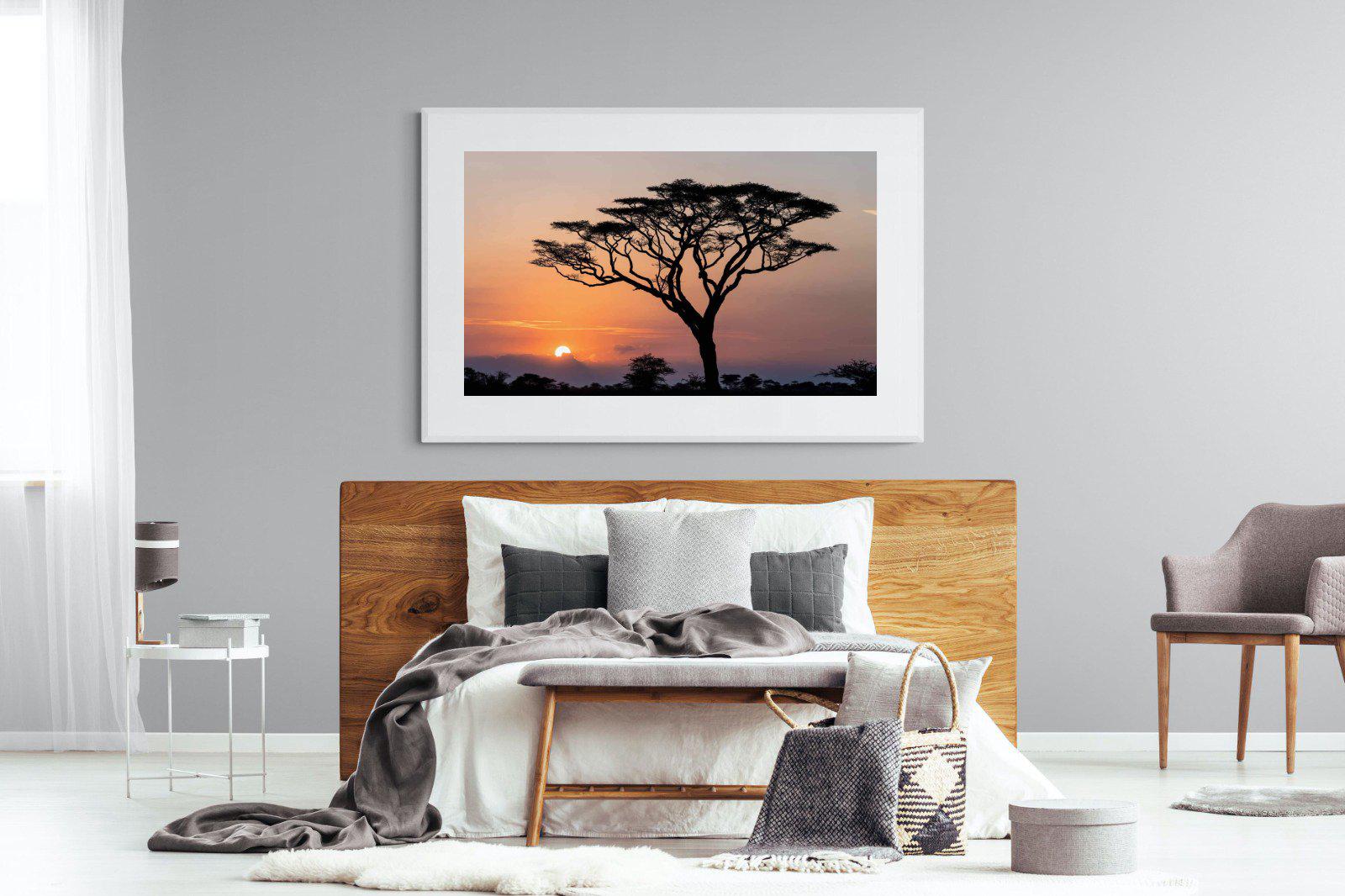Acacia Sunset-Wall_Art-150 x 100cm-Framed Print-White-Pixalot