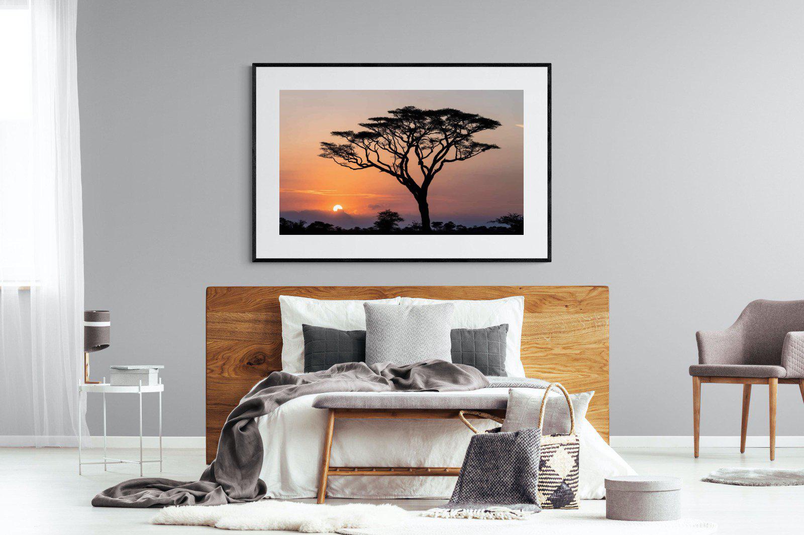 Acacia Sunset-Wall_Art-150 x 100cm-Framed Print-Black-Pixalot