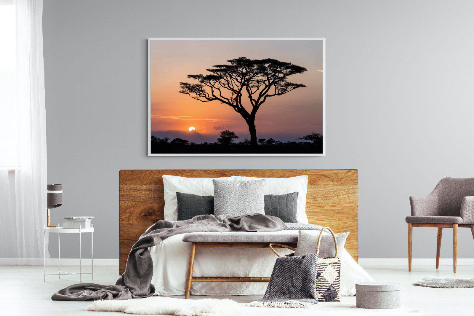 Acacia Sunset-Wall_Art-150 x 100cm-Mounted Canvas-White-Pixalot