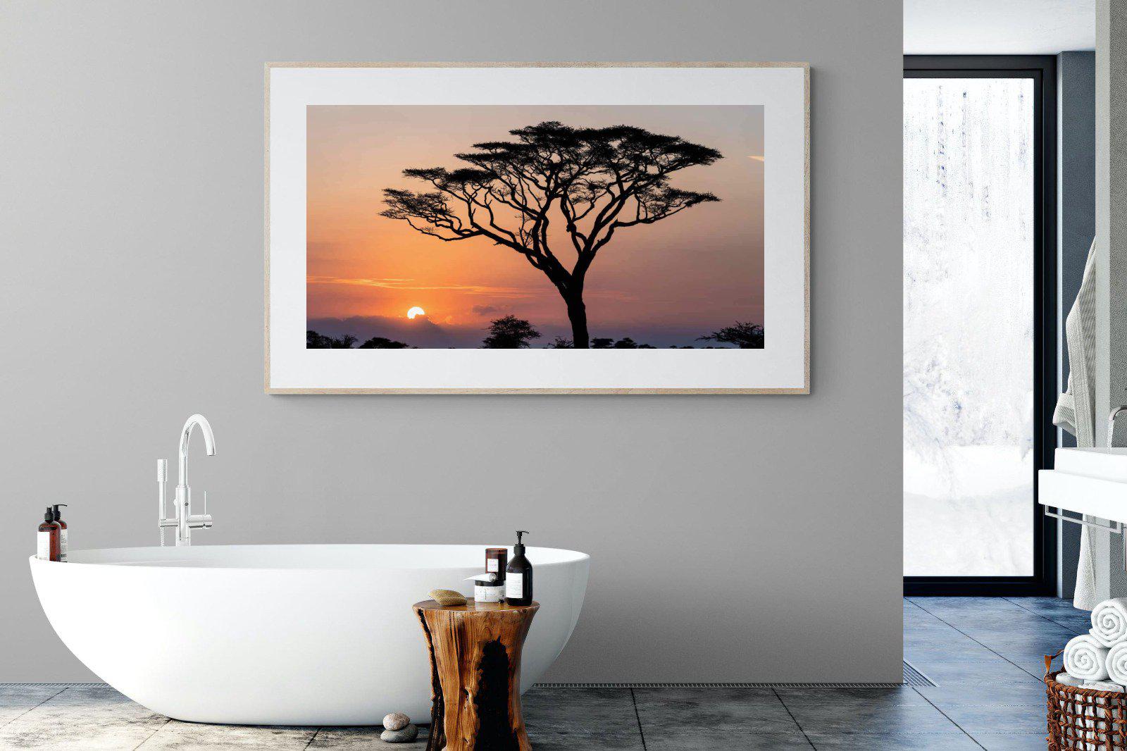Acacia Sunset-Wall_Art-180 x 110cm-Framed Print-Wood-Pixalot