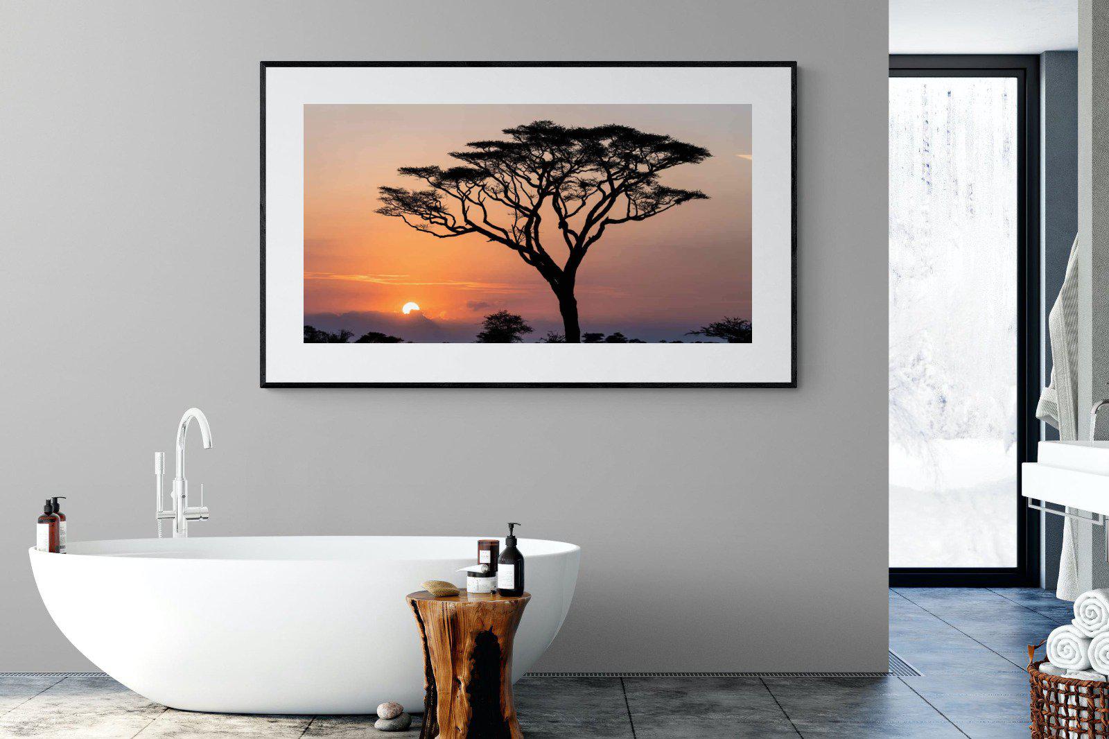 Acacia Sunset-Wall_Art-180 x 110cm-Framed Print-Black-Pixalot
