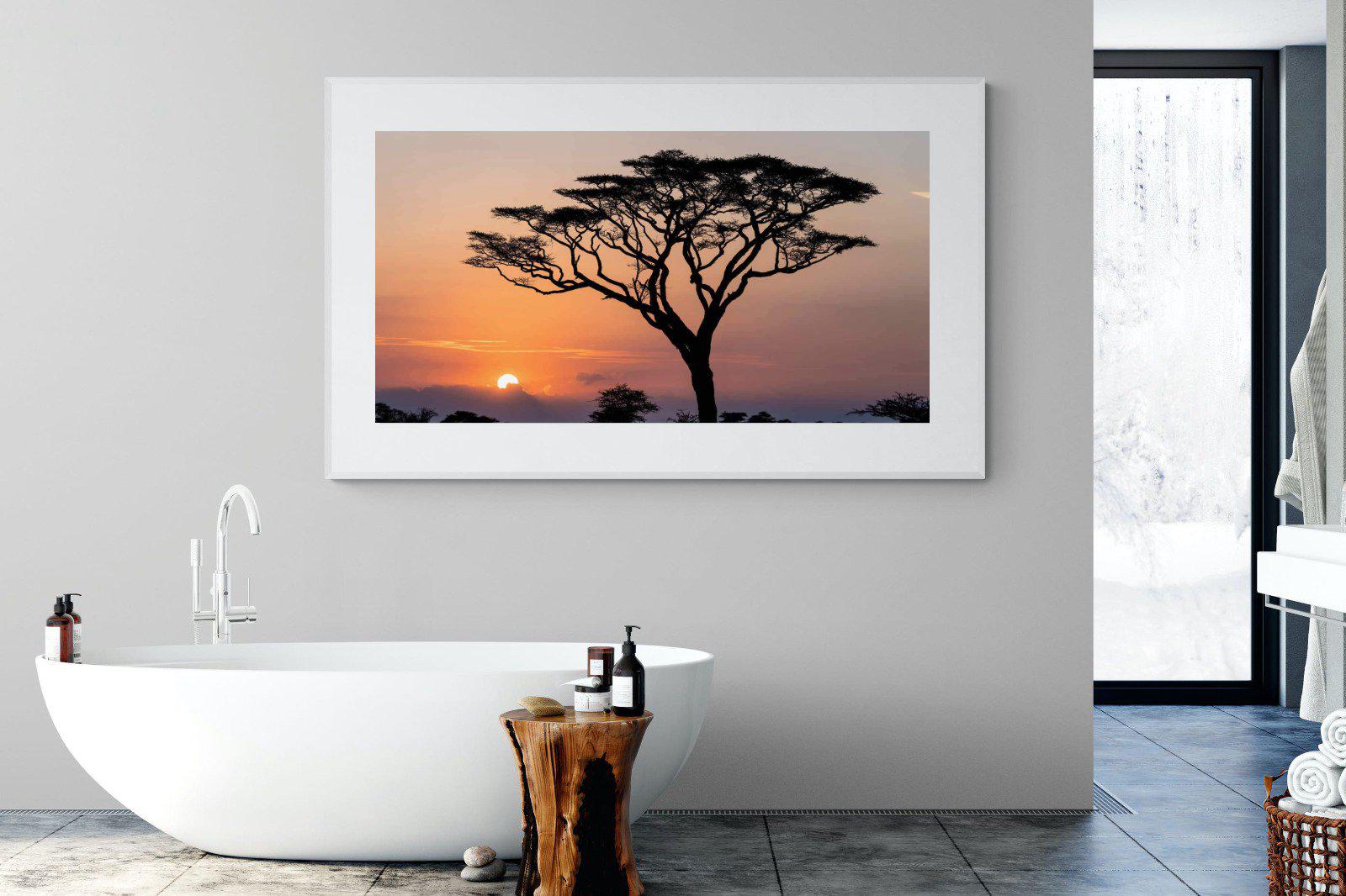 Acacia Sunset-Wall_Art-180 x 110cm-Framed Print-White-Pixalot