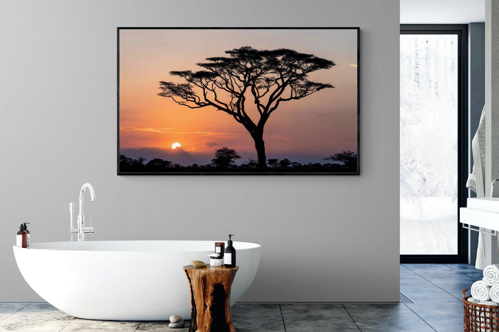 Acacia Sunset-Wall_Art-180 x 110cm-Mounted Canvas-Black-Pixalot