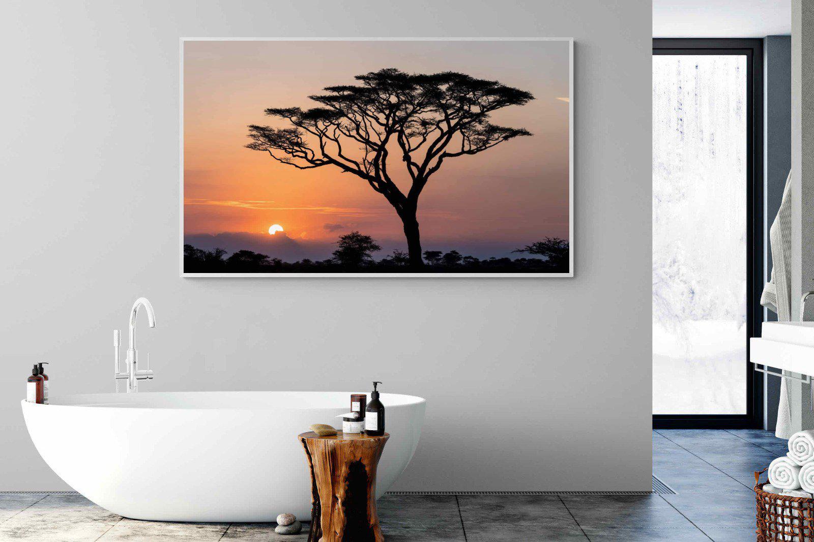 Acacia Sunset-Wall_Art-180 x 110cm-Mounted Canvas-White-Pixalot