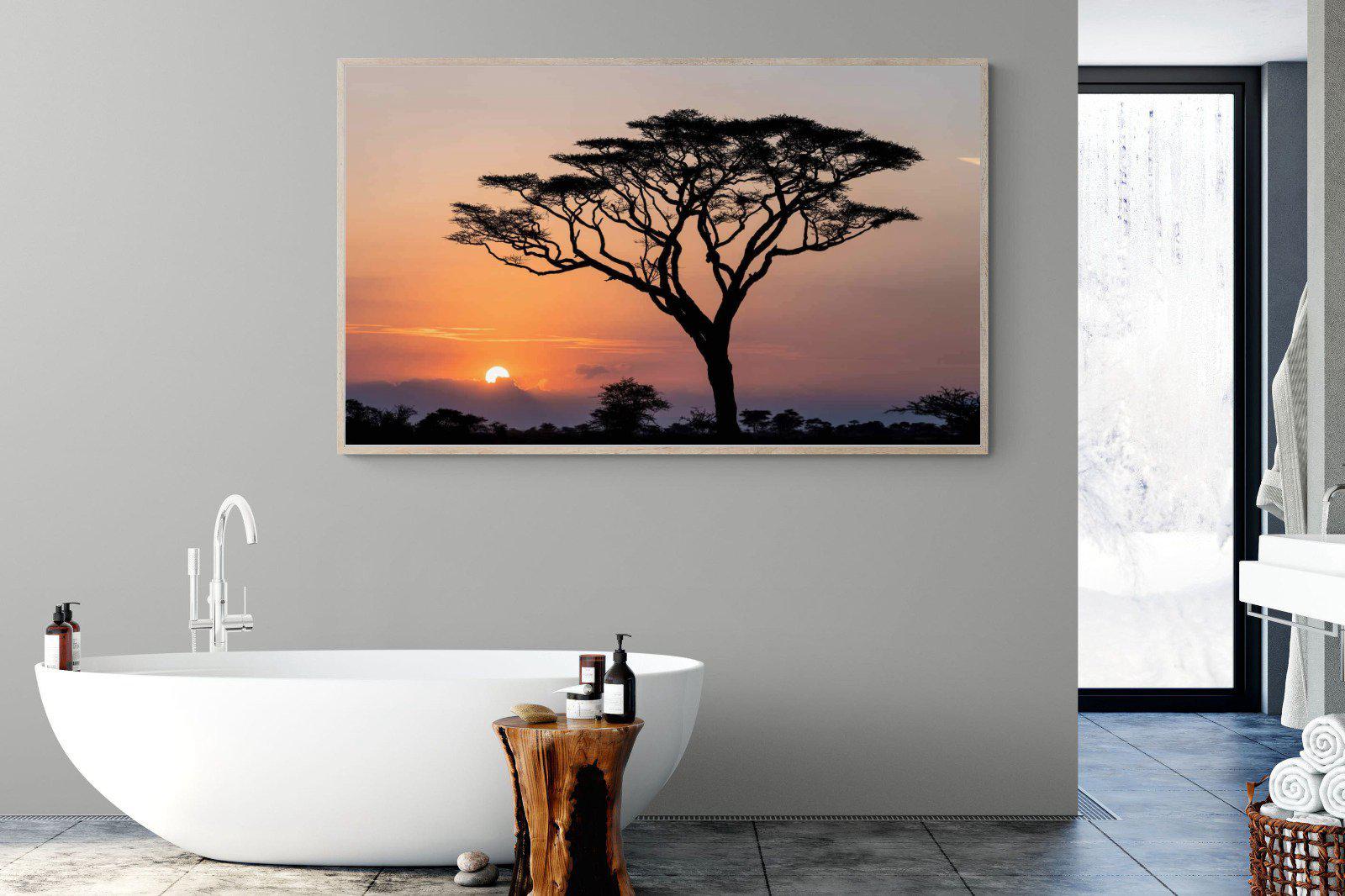 Acacia Sunset-Wall_Art-180 x 110cm-Mounted Canvas-Wood-Pixalot