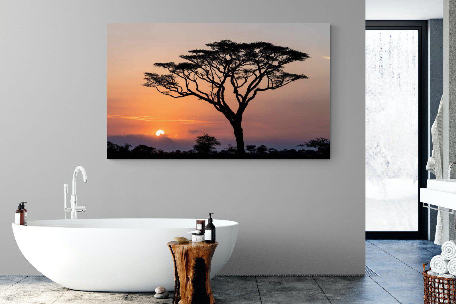 Acacia Sunset-Wall_Art-180 x 110cm-Mounted Canvas-No Frame-Pixalot