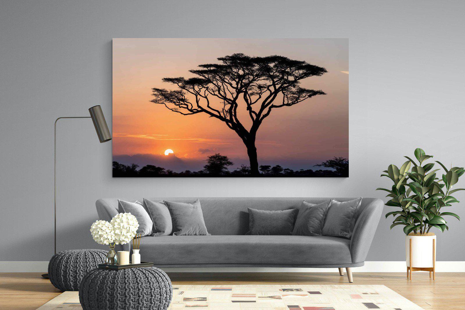 Acacia Sunset-Wall_Art-220 x 130cm-Mounted Canvas-No Frame-Pixalot