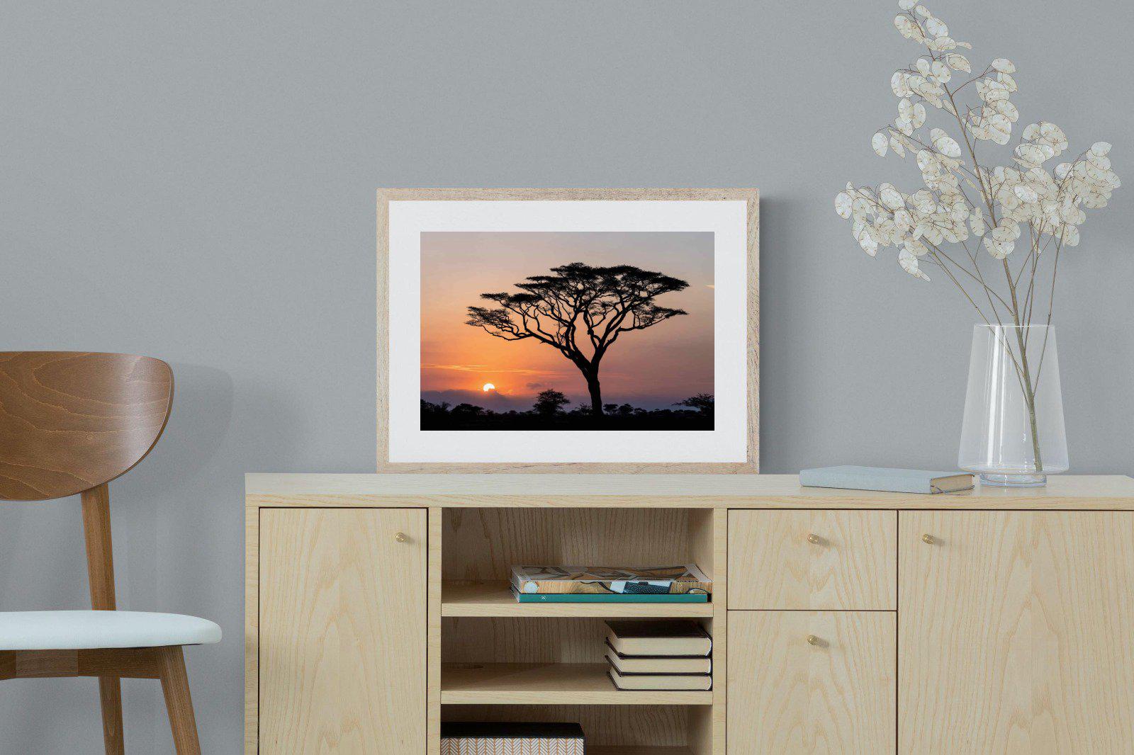 Acacia Sunset-Wall_Art-60 x 45cm-Framed Print-Wood-Pixalot
