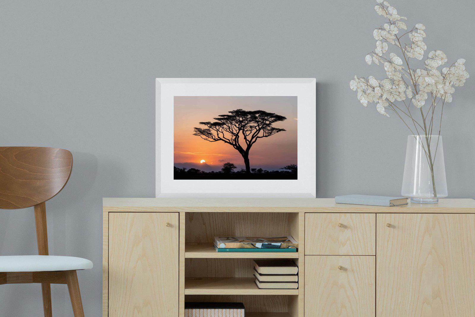 Acacia Sunset-Wall_Art-60 x 45cm-Framed Print-White-Pixalot