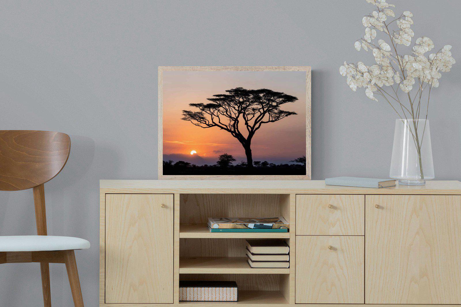 Acacia Sunset-Wall_Art-60 x 45cm-Mounted Canvas-Wood-Pixalot