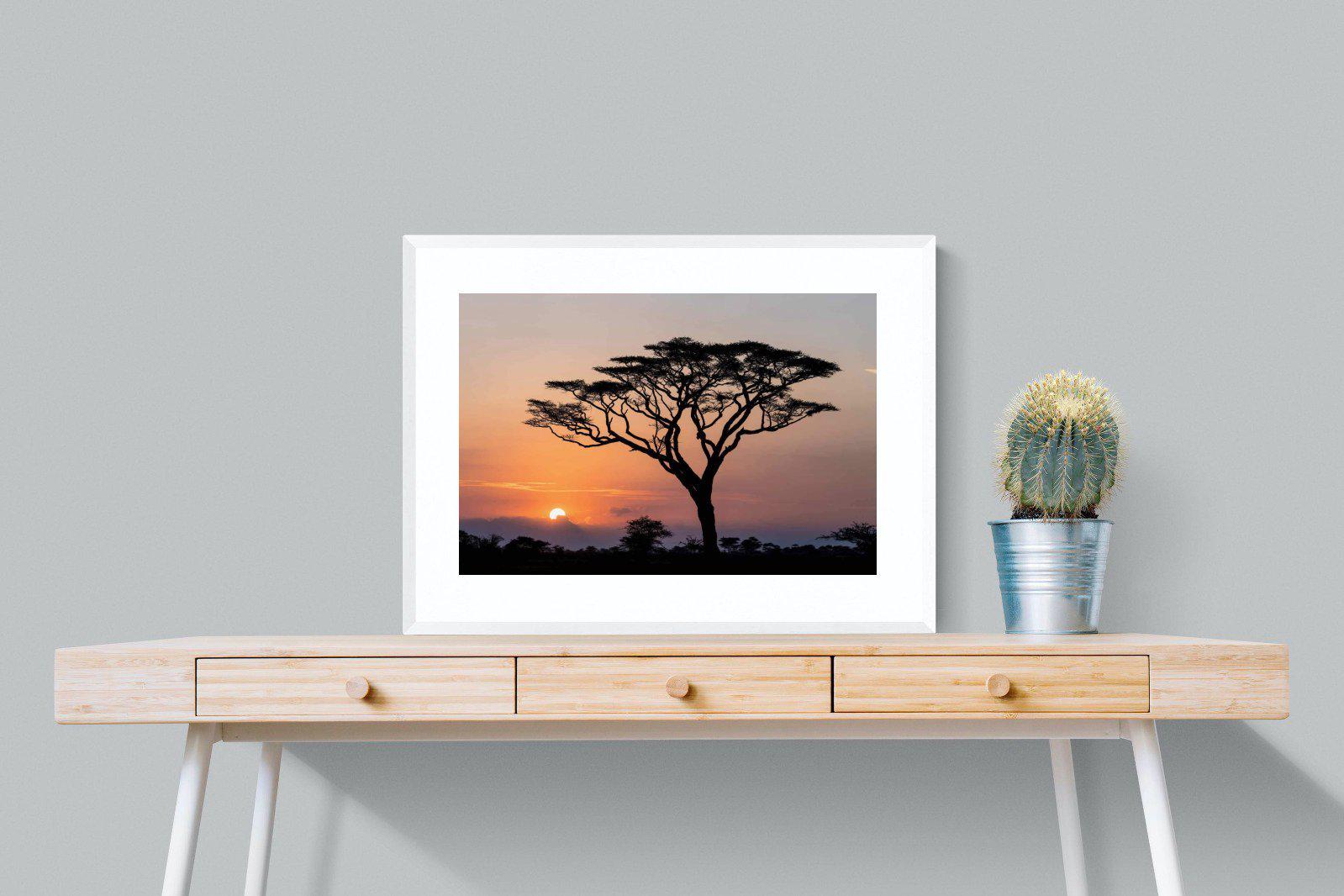 Acacia Sunset-Wall_Art-80 x 60cm-Framed Print-White-Pixalot