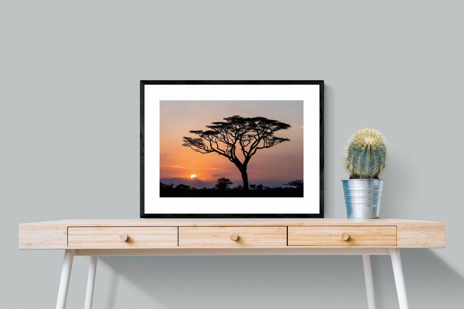 Acacia Sunset-Wall_Art-80 x 60cm-Framed Print-Black-Pixalot