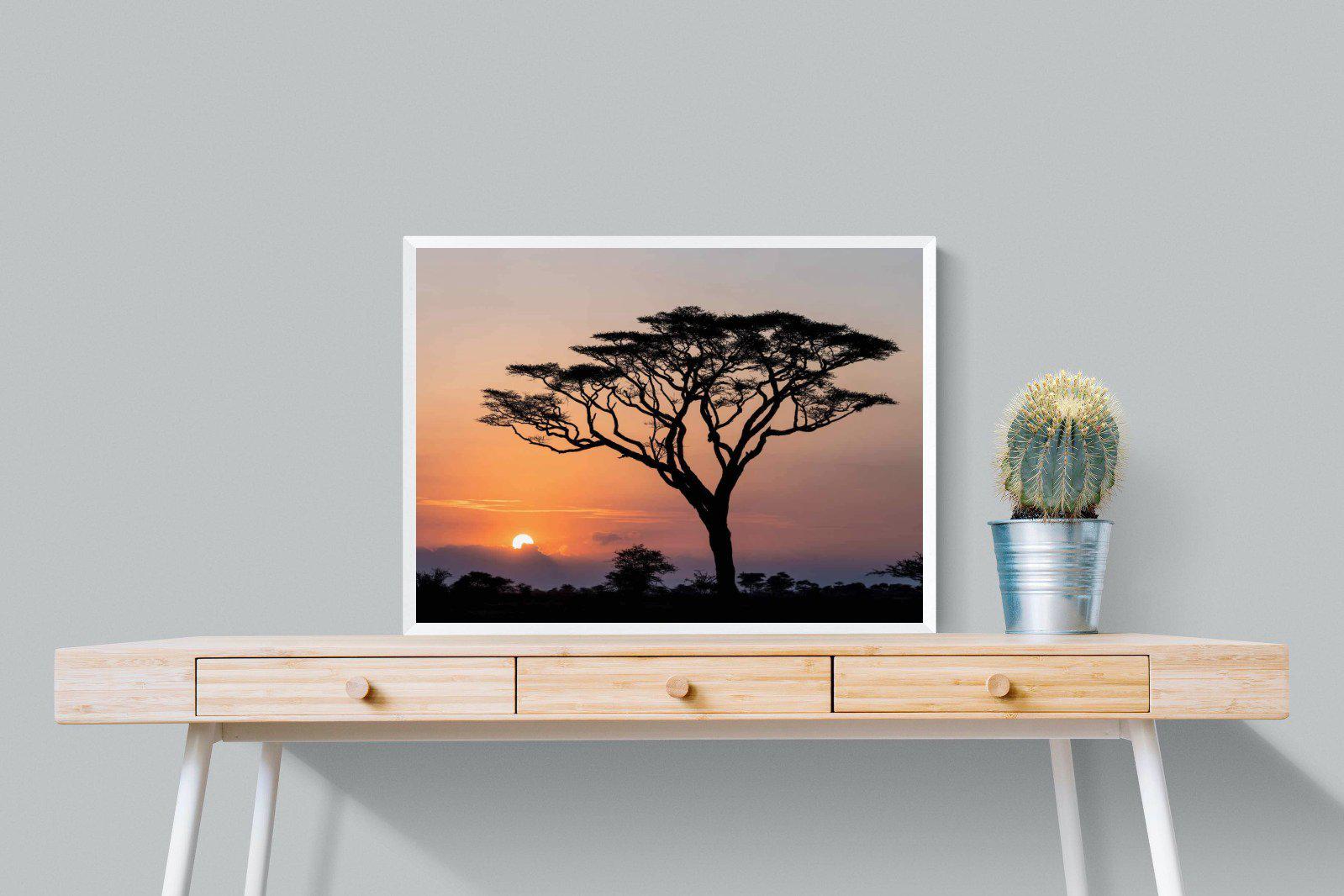 Acacia Sunset-Wall_Art-80 x 60cm-Mounted Canvas-White-Pixalot