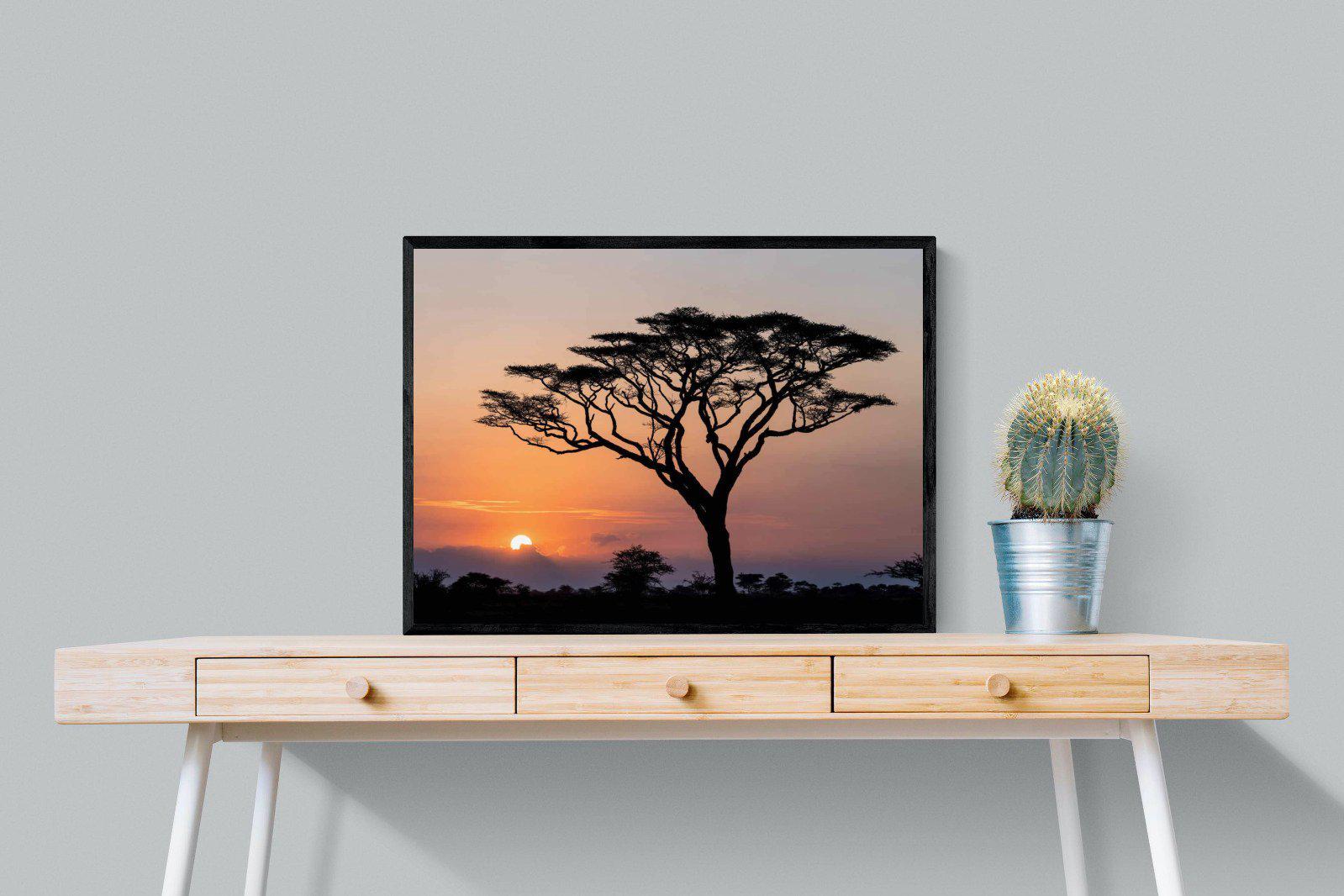 Acacia Sunset-Wall_Art-80 x 60cm-Mounted Canvas-Black-Pixalot