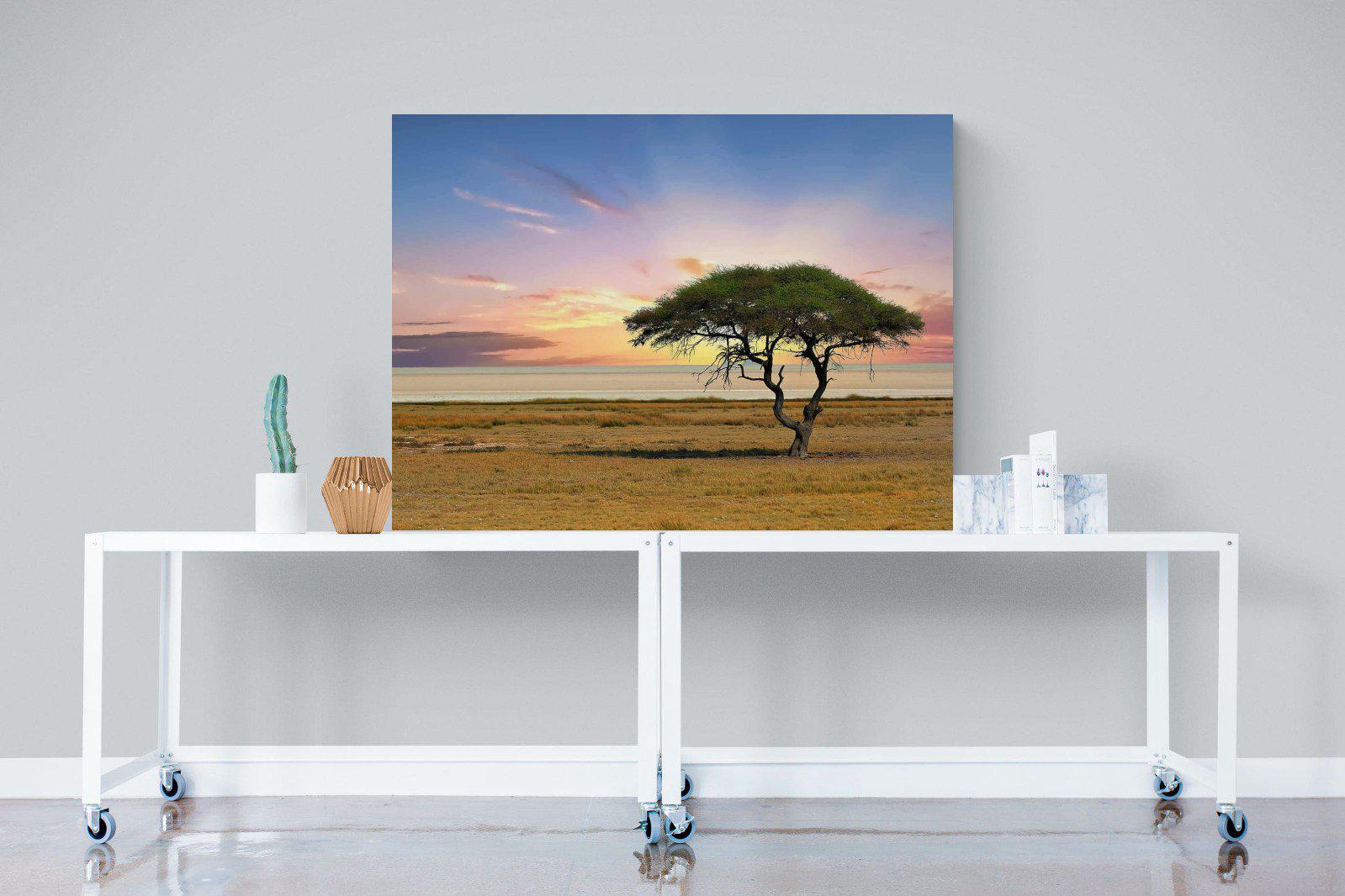 Acacia Tree-Wall_Art-120 x 90cm-Mounted Canvas-No Frame-Pixalot