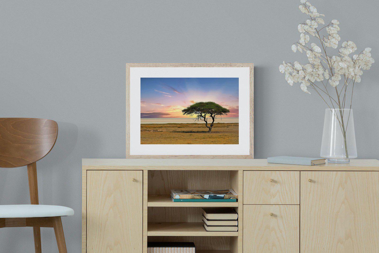 Acacia Tree-Wall_Art-60 x 45cm-Framed Print-Wood-Pixalot