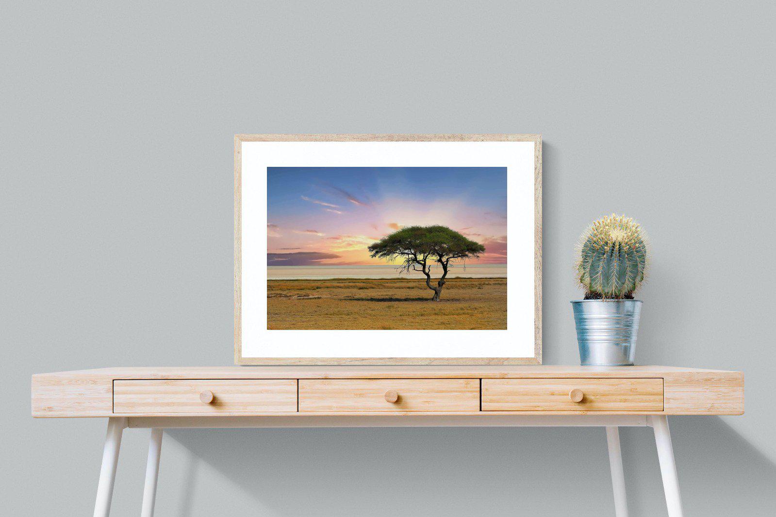 Acacia Tree-Wall_Art-80 x 60cm-Framed Print-Wood-Pixalot