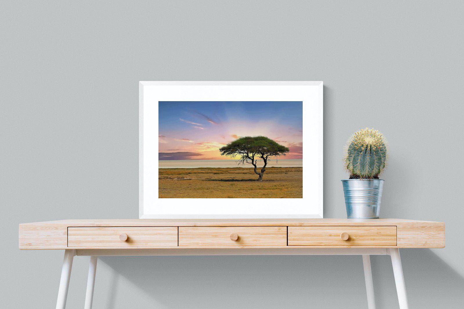 Acacia Tree-Wall_Art-80 x 60cm-Framed Print-White-Pixalot