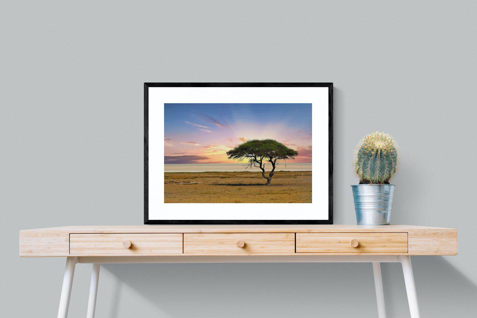 Acacia Tree-Wall_Art-80 x 60cm-Framed Print-Black-Pixalot